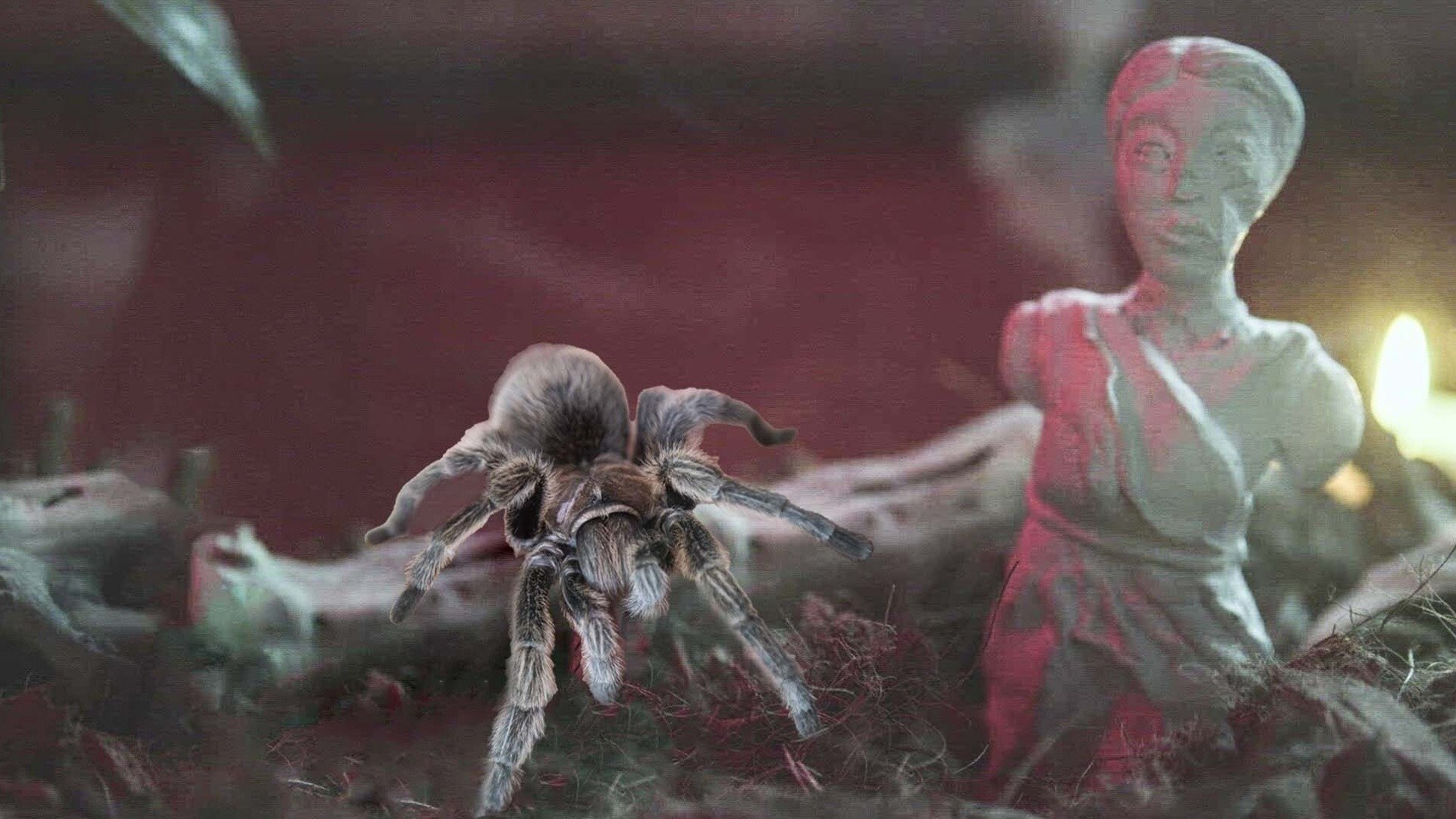 3. Eight-Legged Exorcism