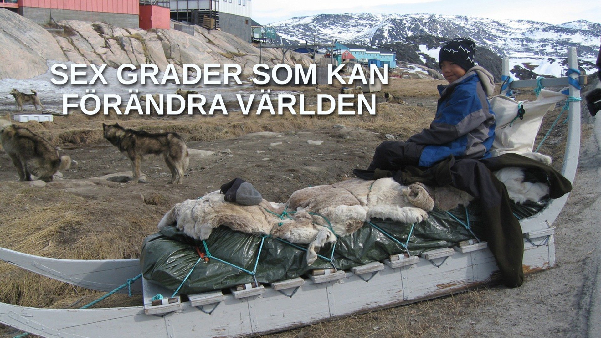 Sex grader som kan förändra världen
