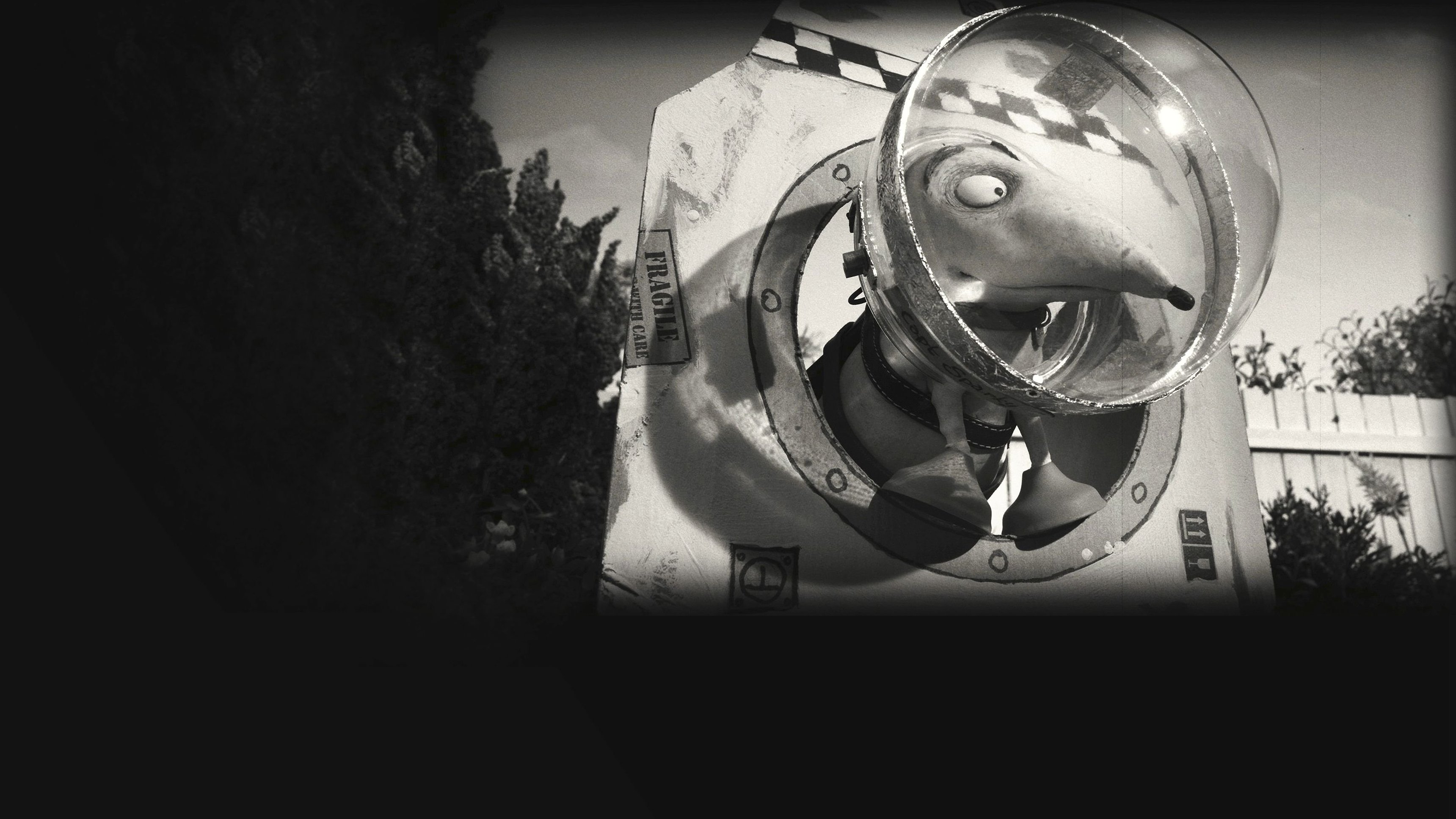 Frankenweenie