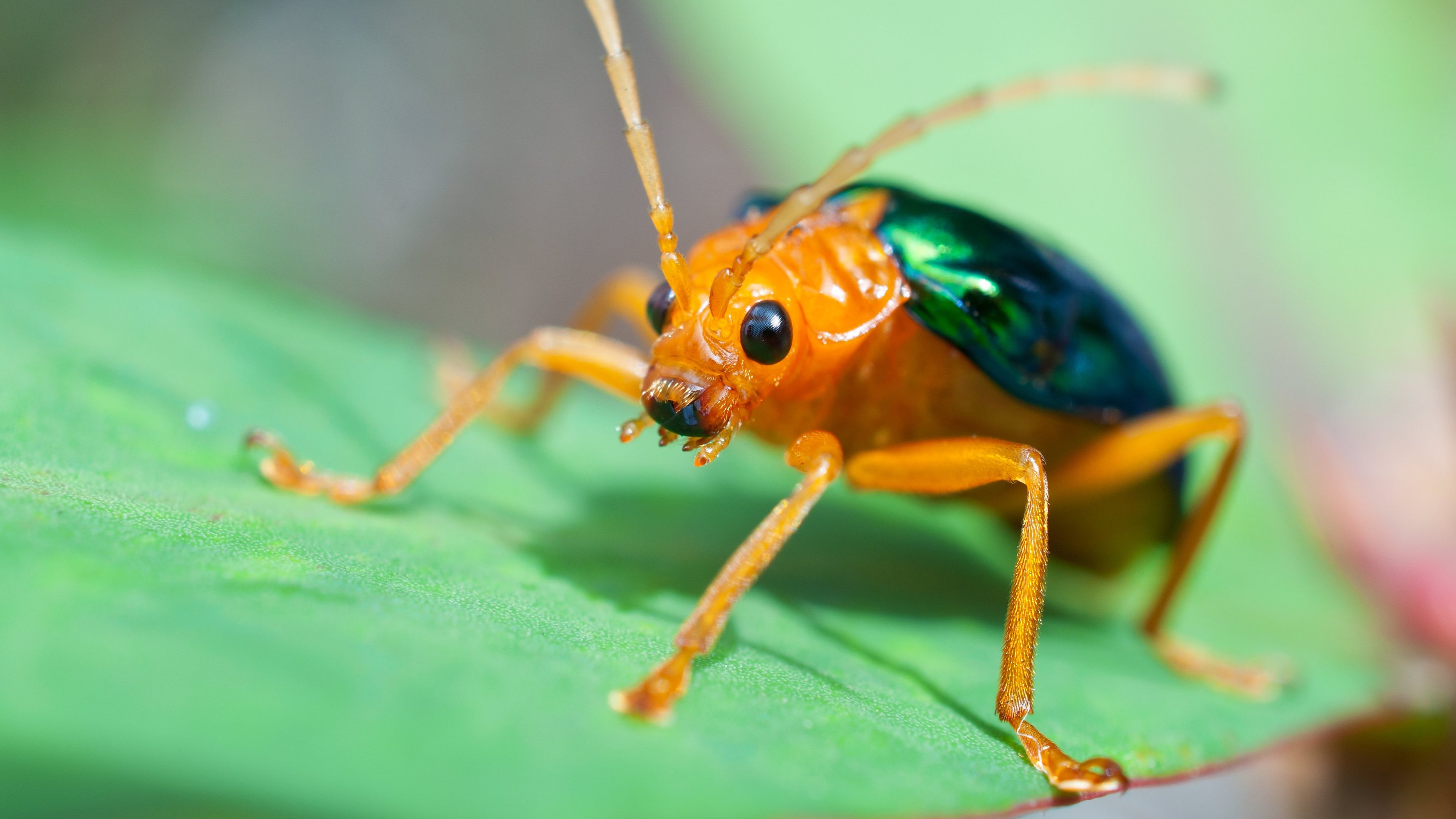 9. Silent Butt Deadly
