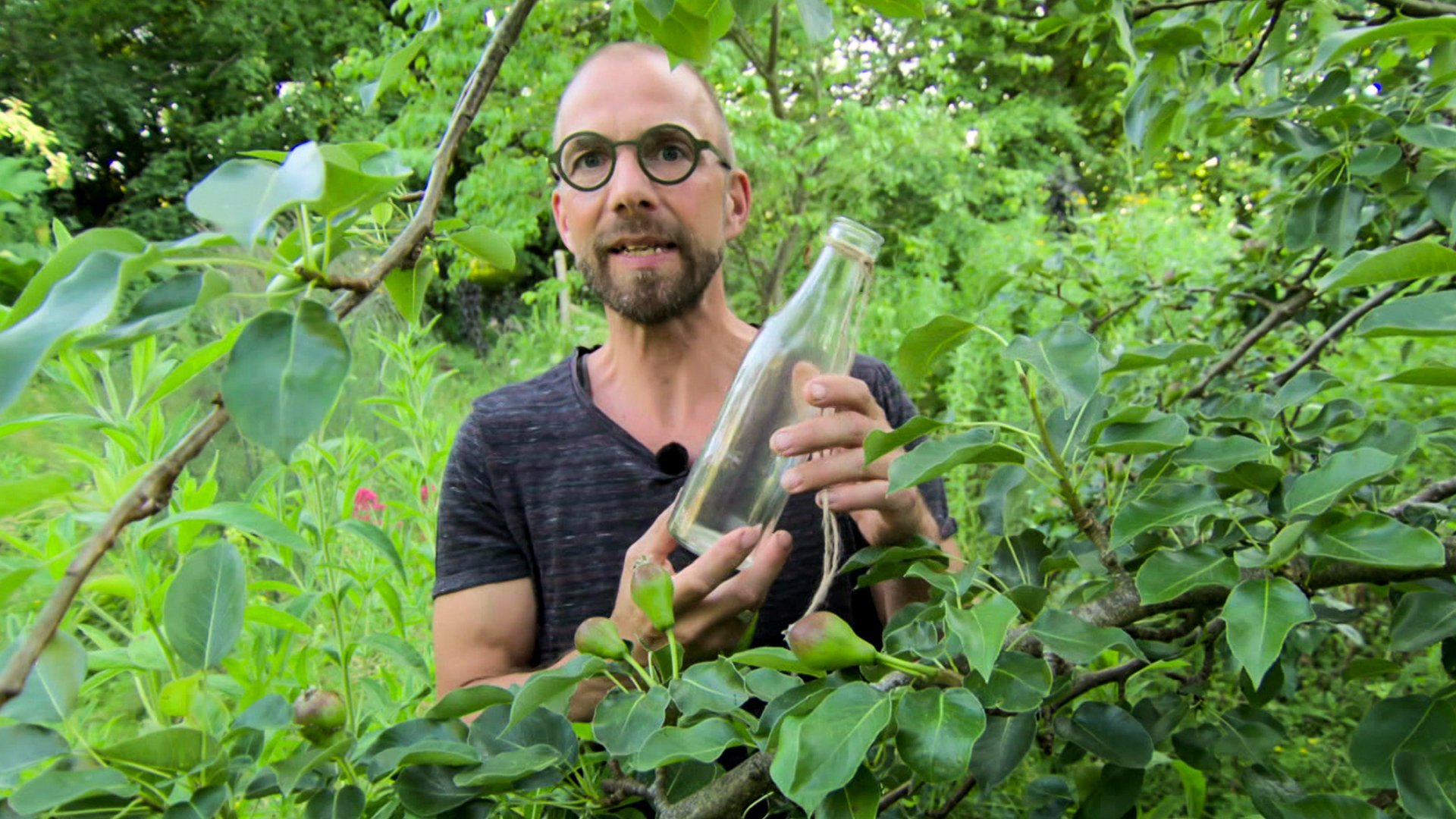 Trädgårdstips med Sören Vester