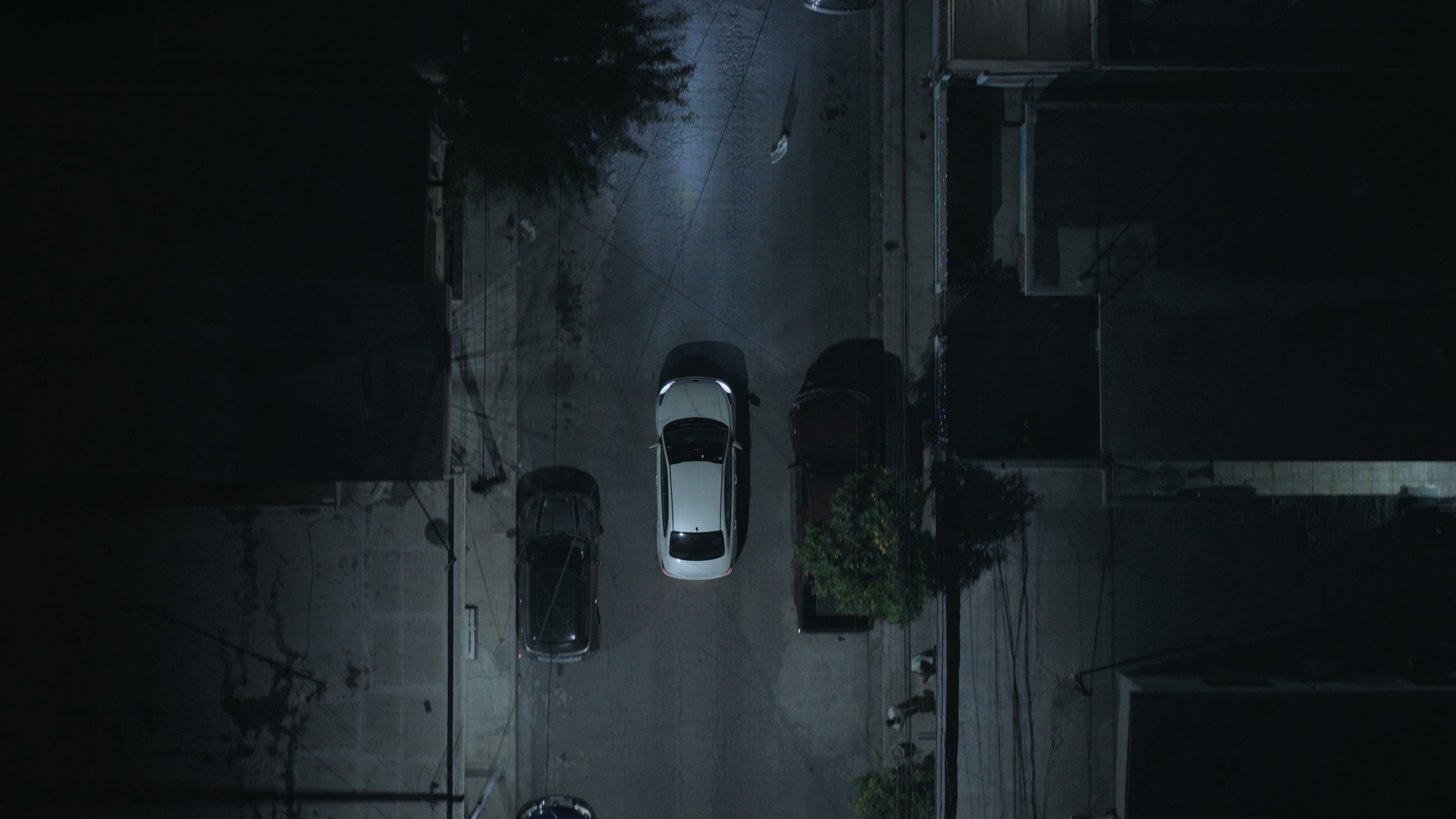 3. The Driver and the Friends