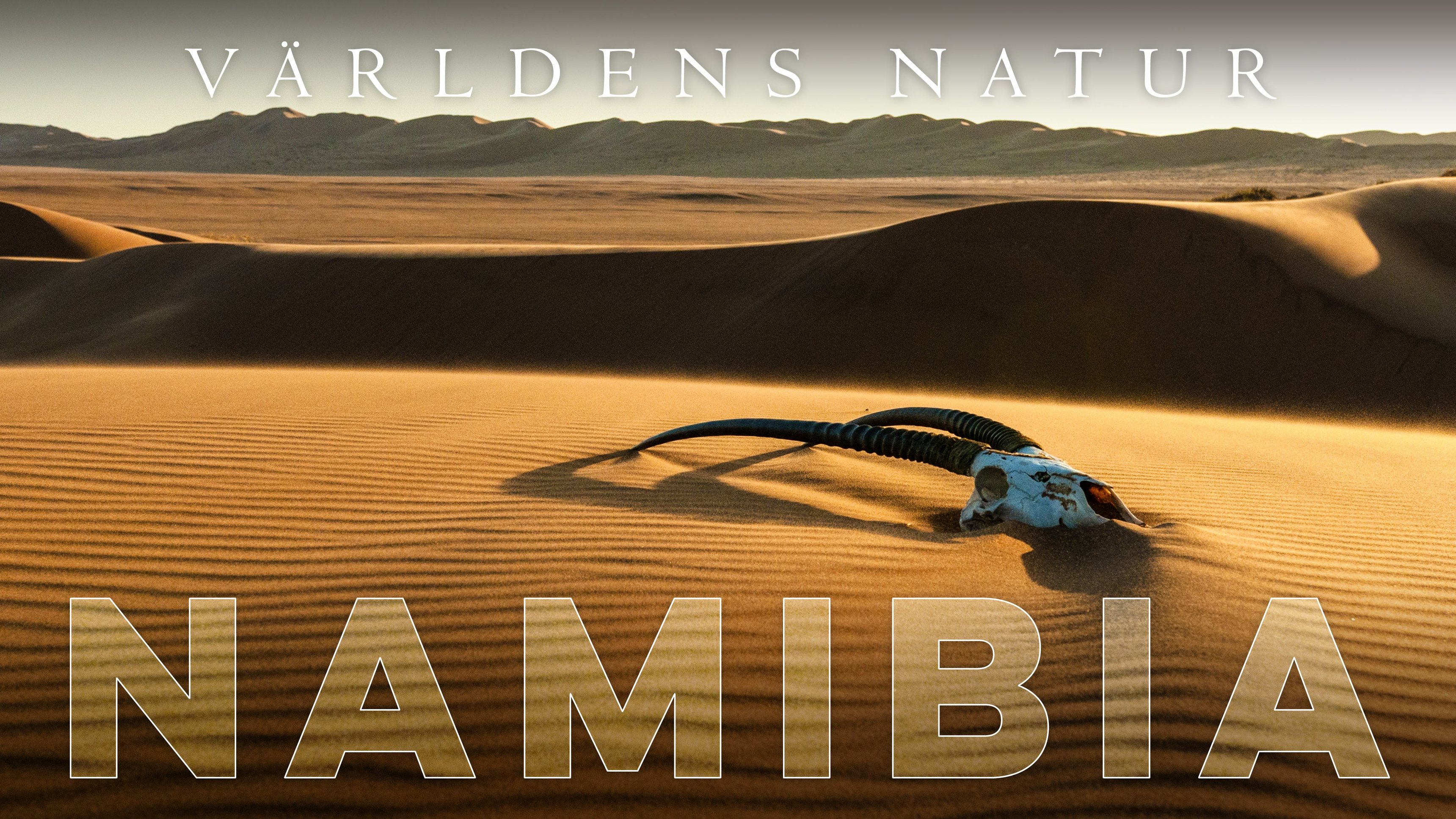Världens natur: Namibia