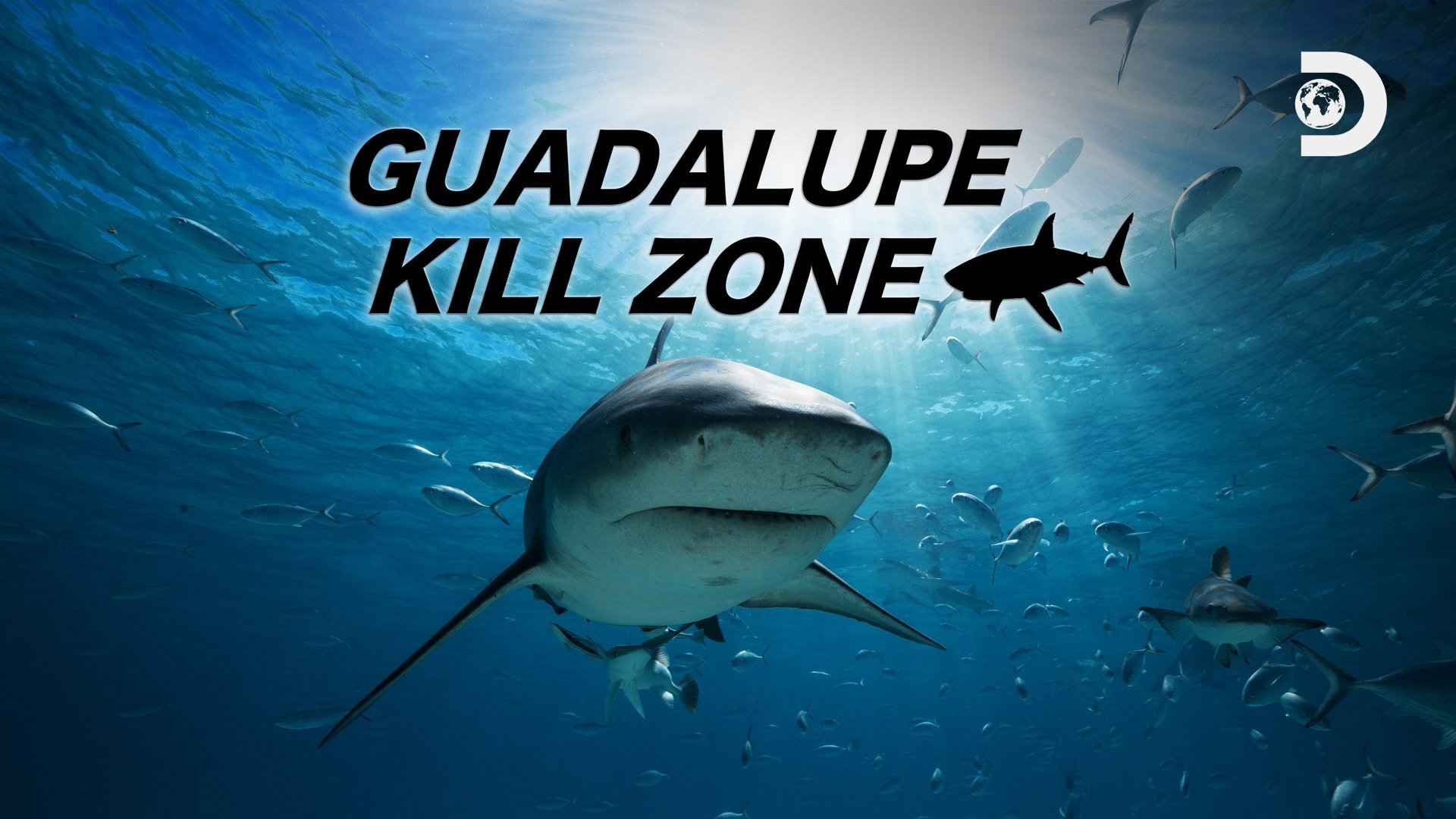Guadalupe Kill Zone