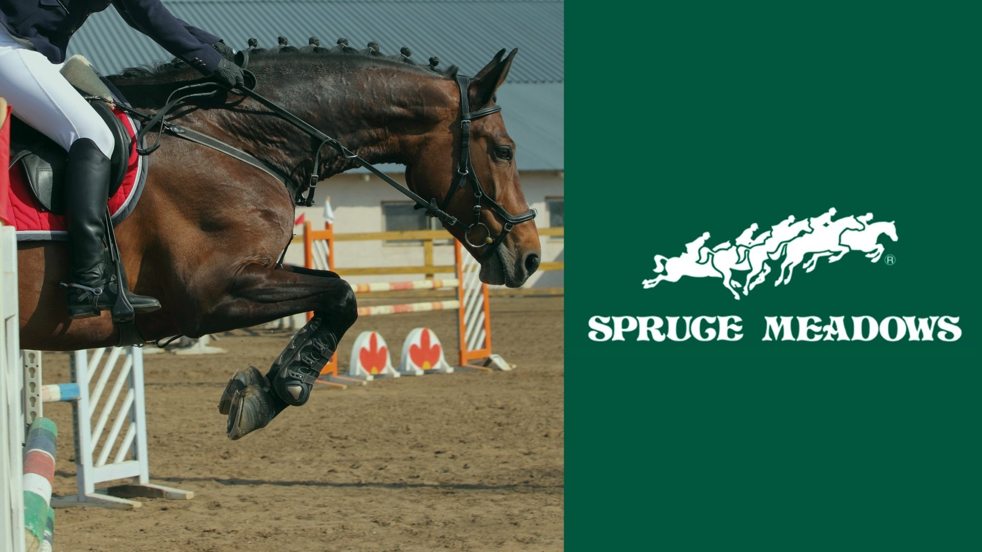 Ridsport: Grand Slam Spruce Meadows