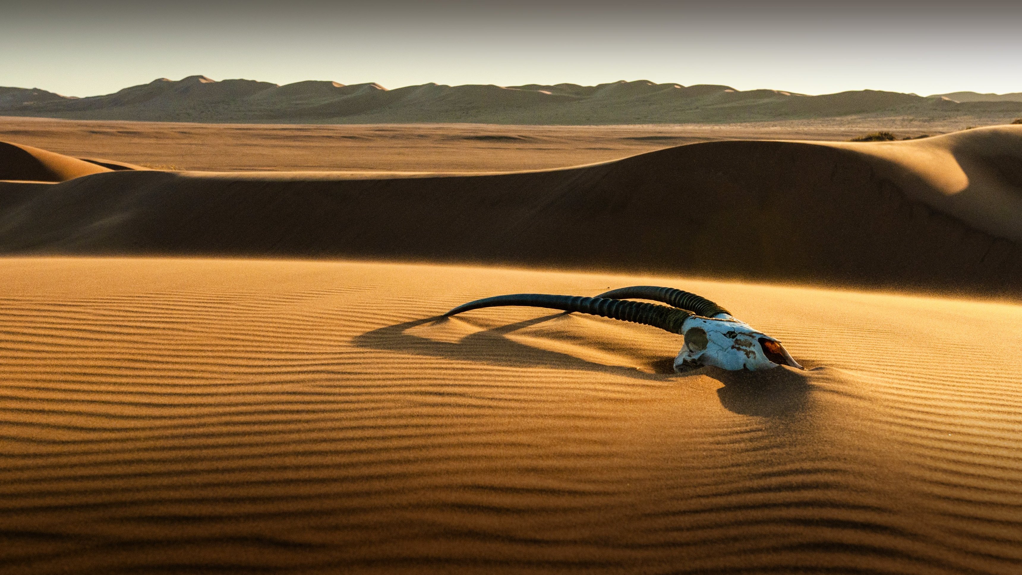 Världens natur: Namibia