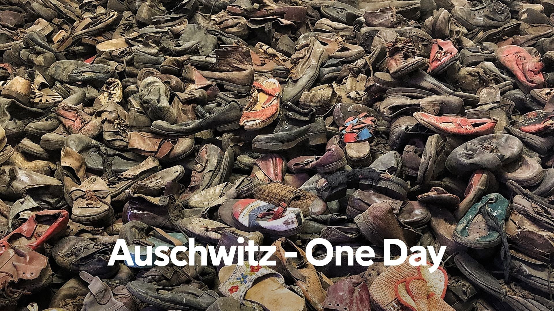 Världens historia: Auschwitz