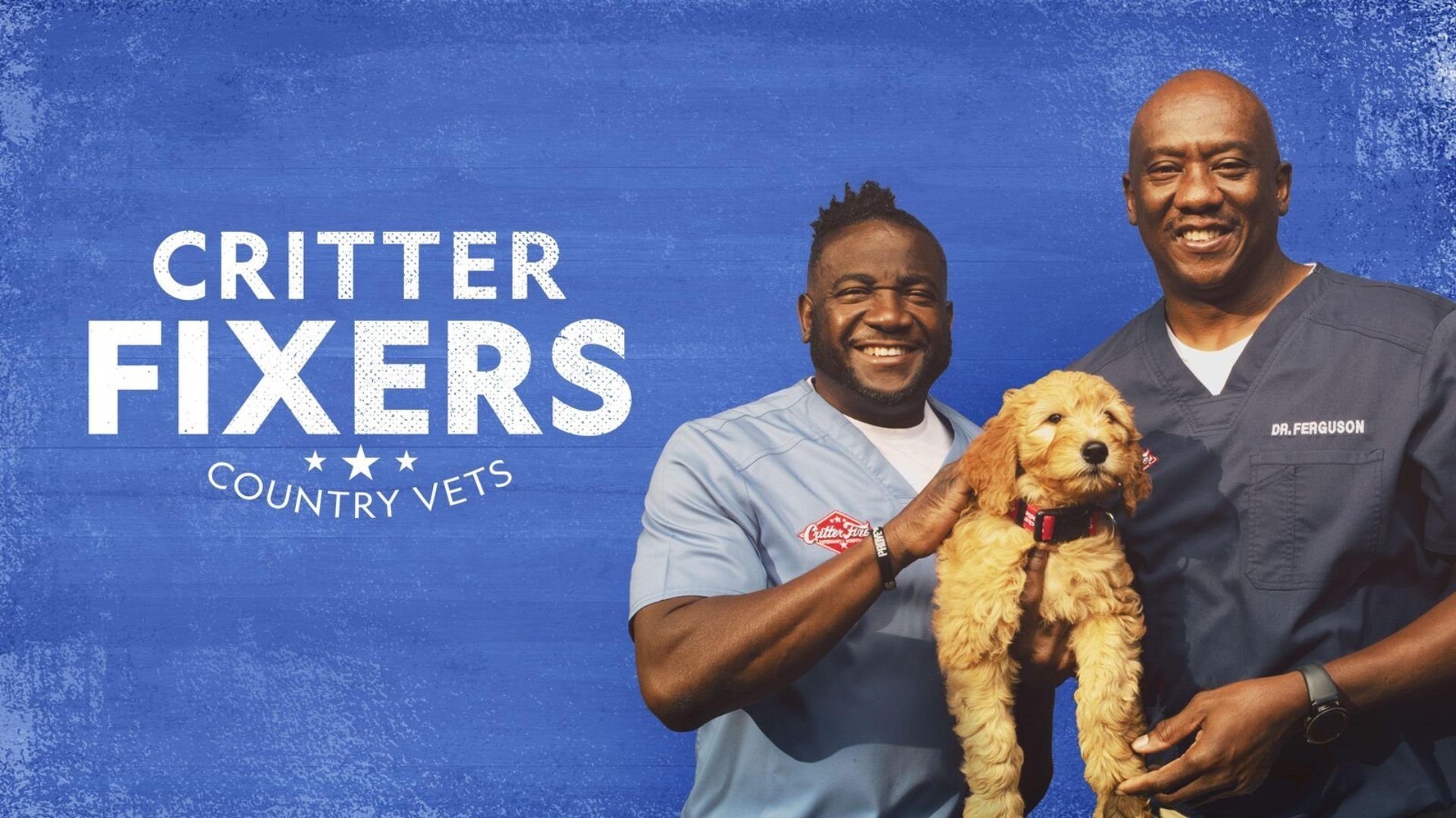 Critter Fixers: Country Vets: Dog Compilation 2025