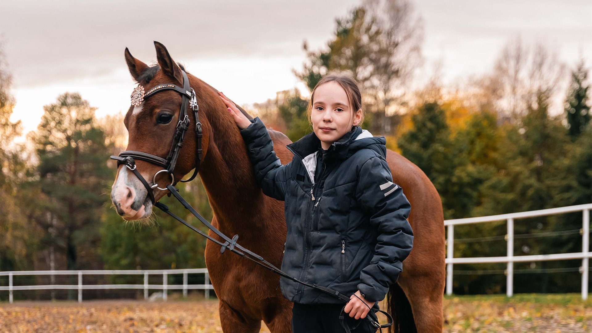 3. Welshponnyn Lillemons Gladius