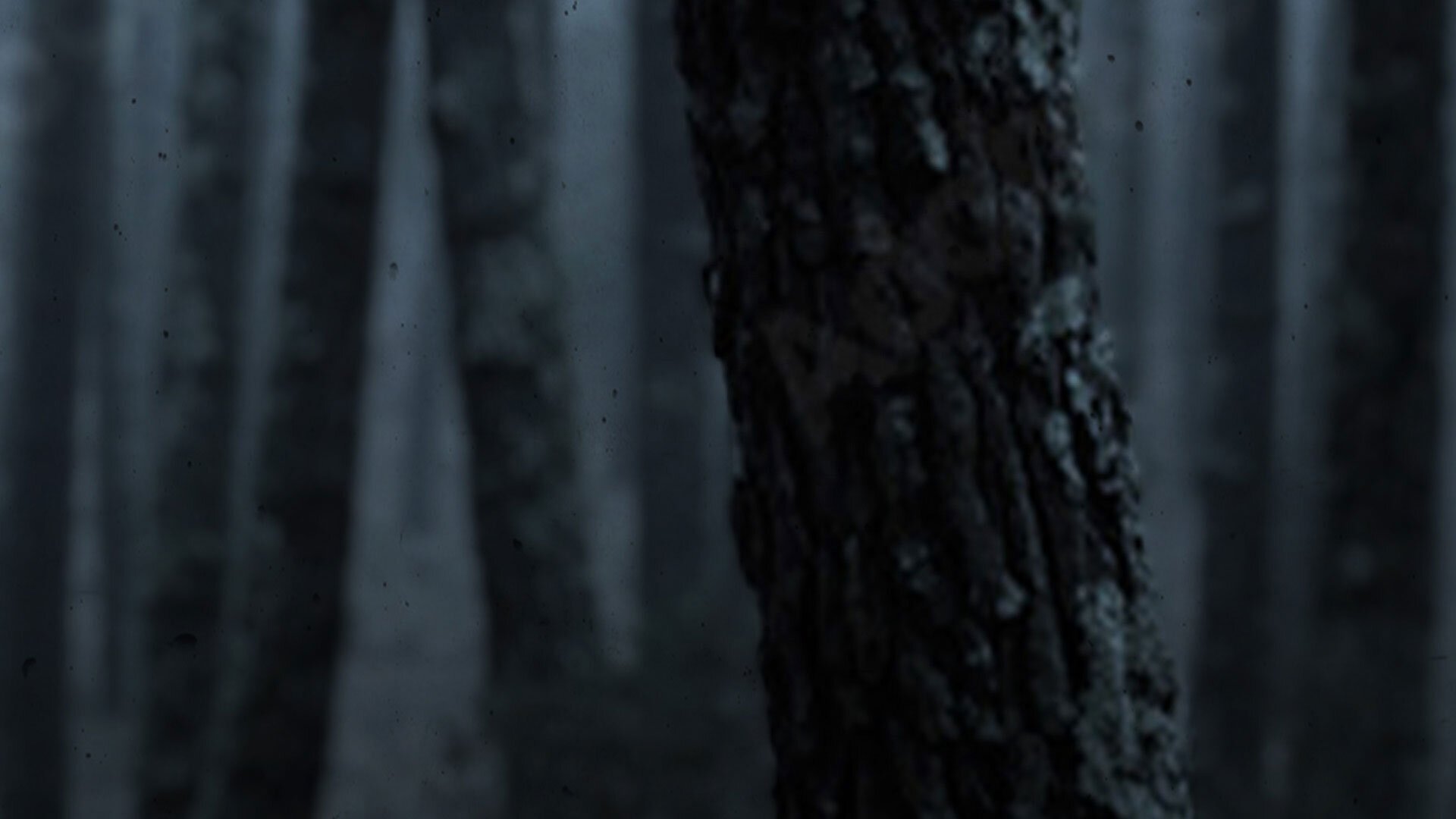 Hängd - Tonåringarna och taximordet