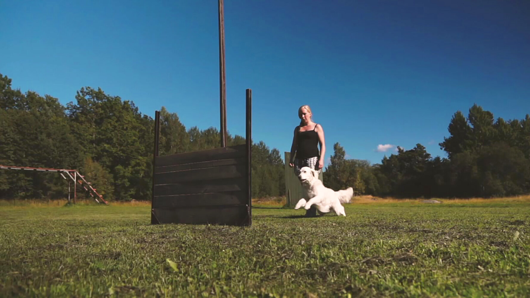23. Hund hoppar över hinder