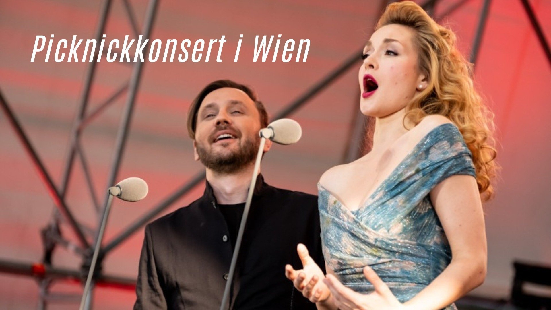 Picknickkonsert i Wien