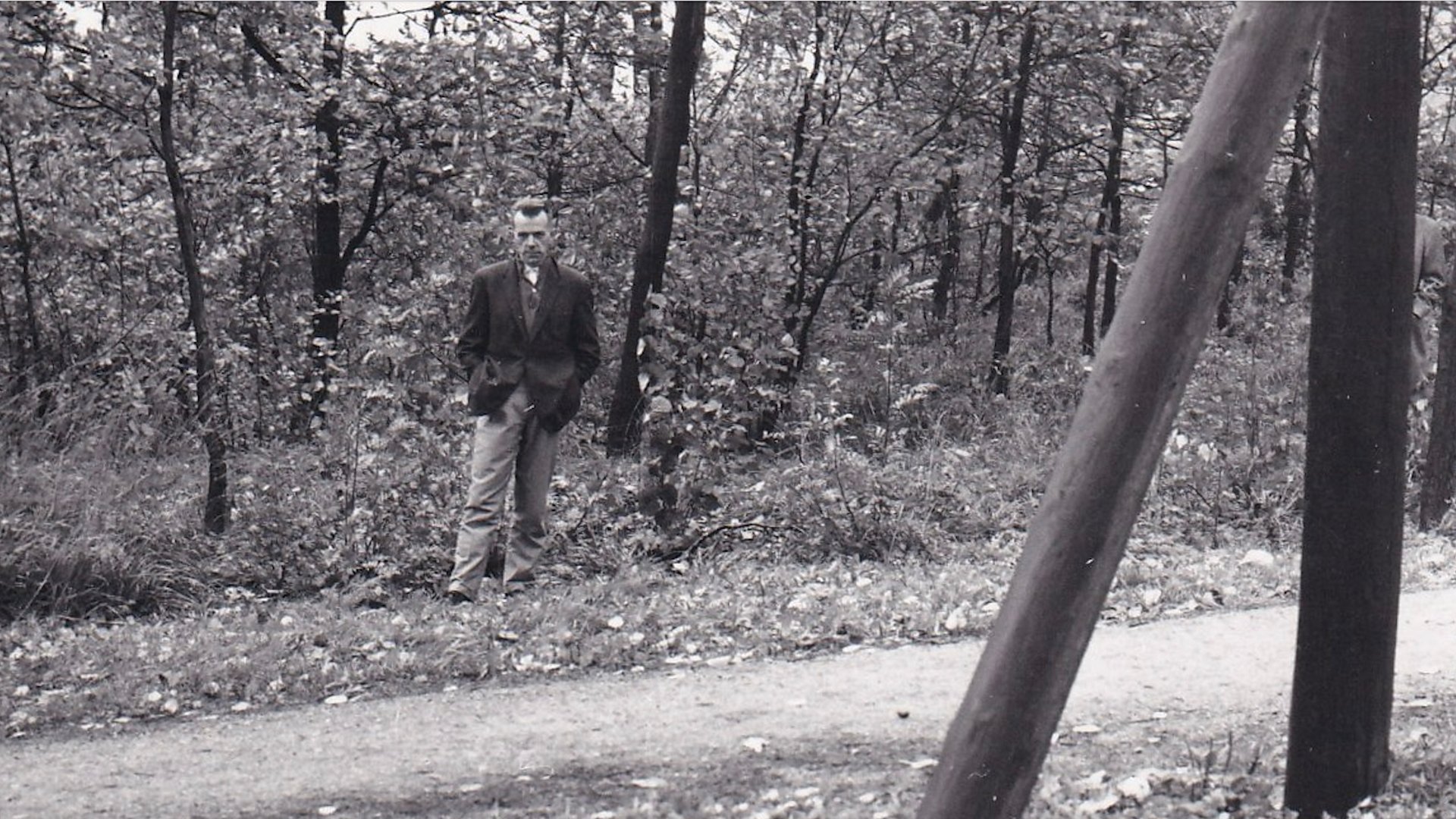 3. Flickmördaren
