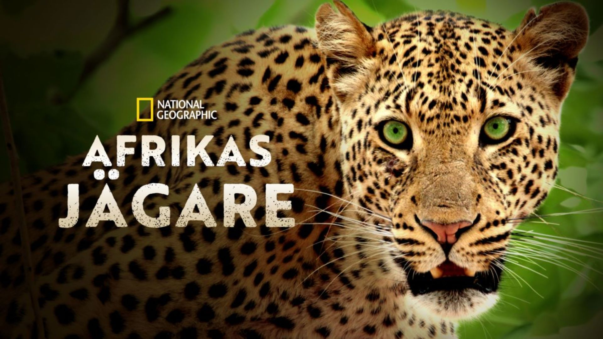 Afrikas jägare