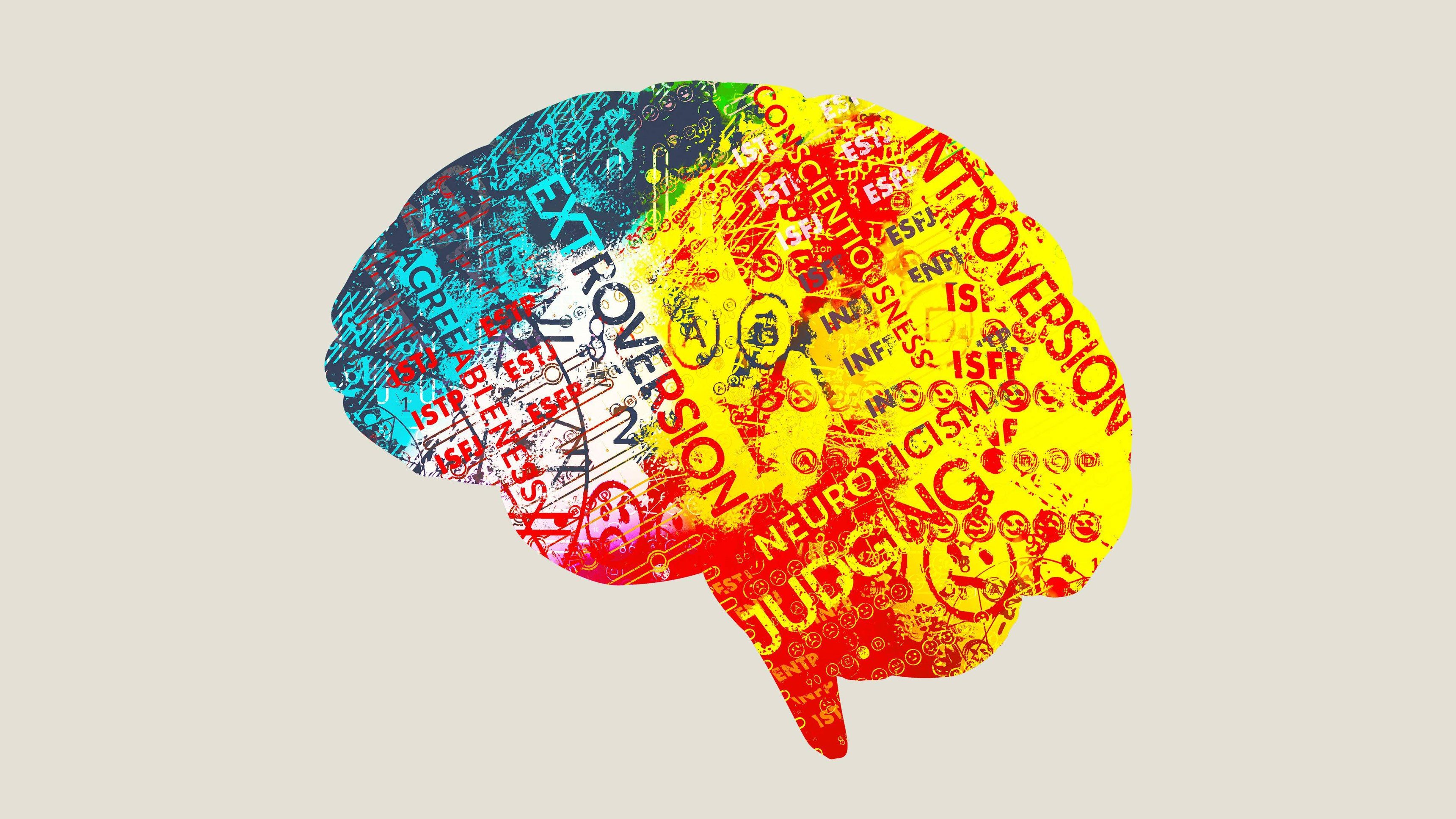 Persona: the Dark Truth Behind Personality Tests