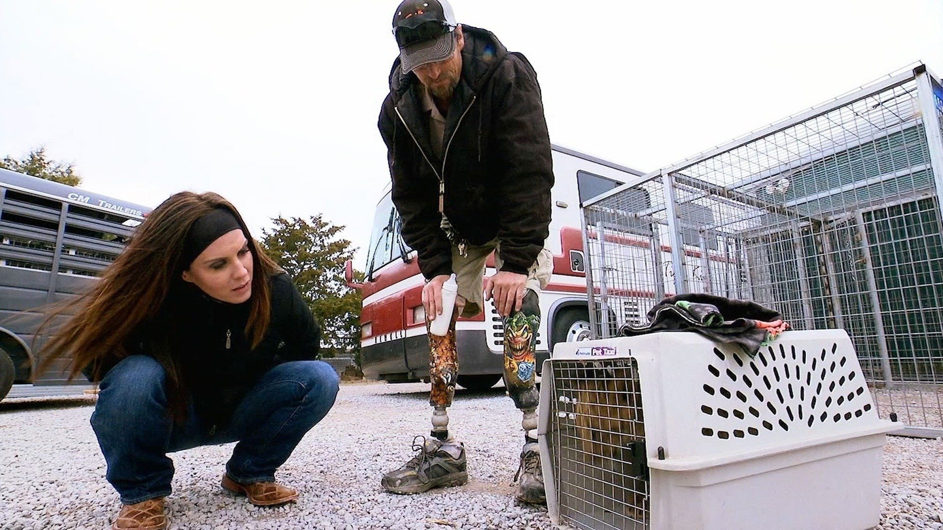 7. A Tiger Chase and a Tight Place