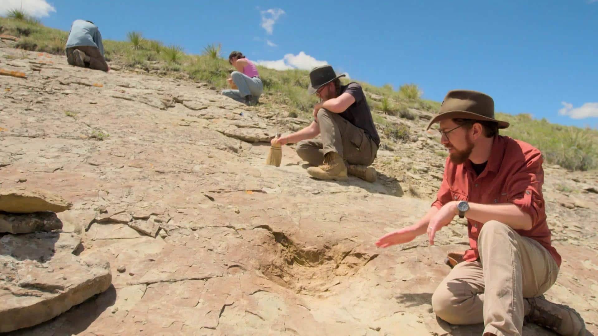 1. Den dödliga tyrannosaurus rex hemligheter