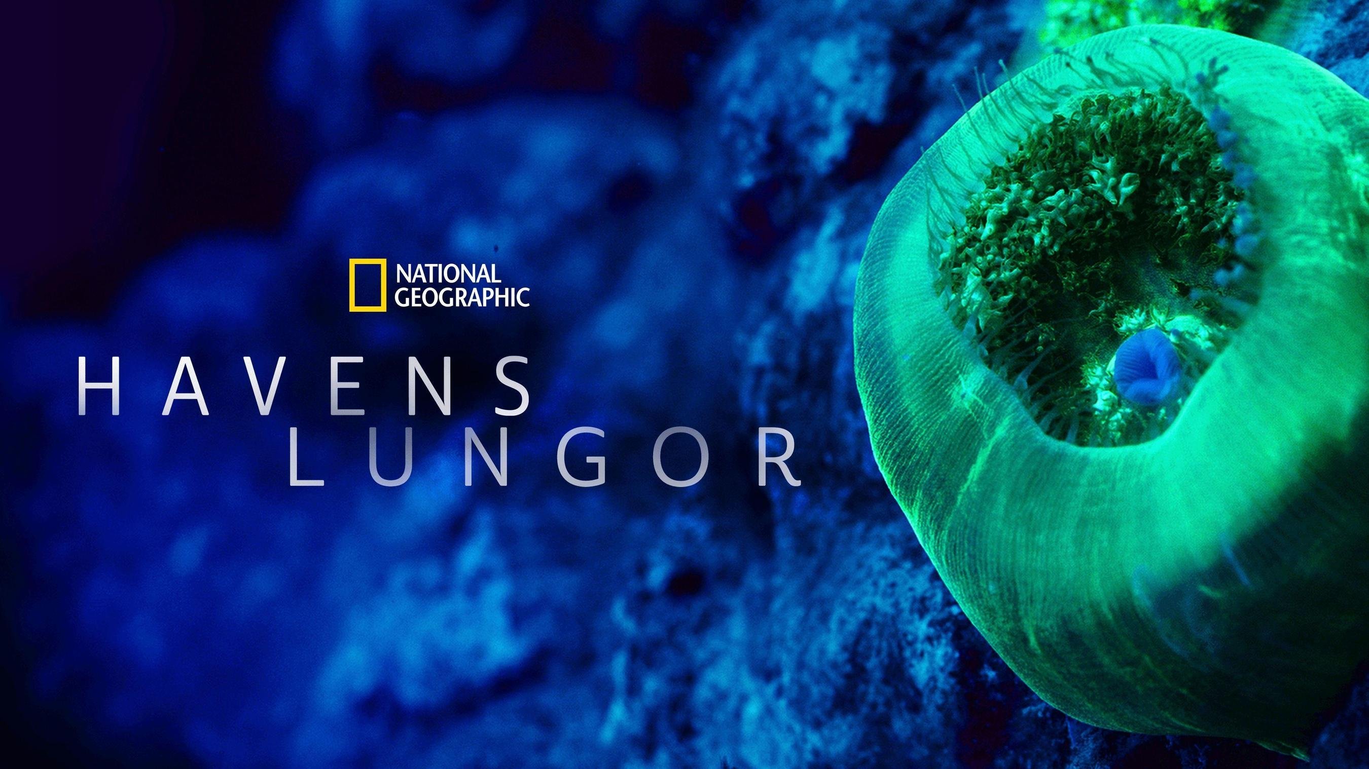 Havens lungor