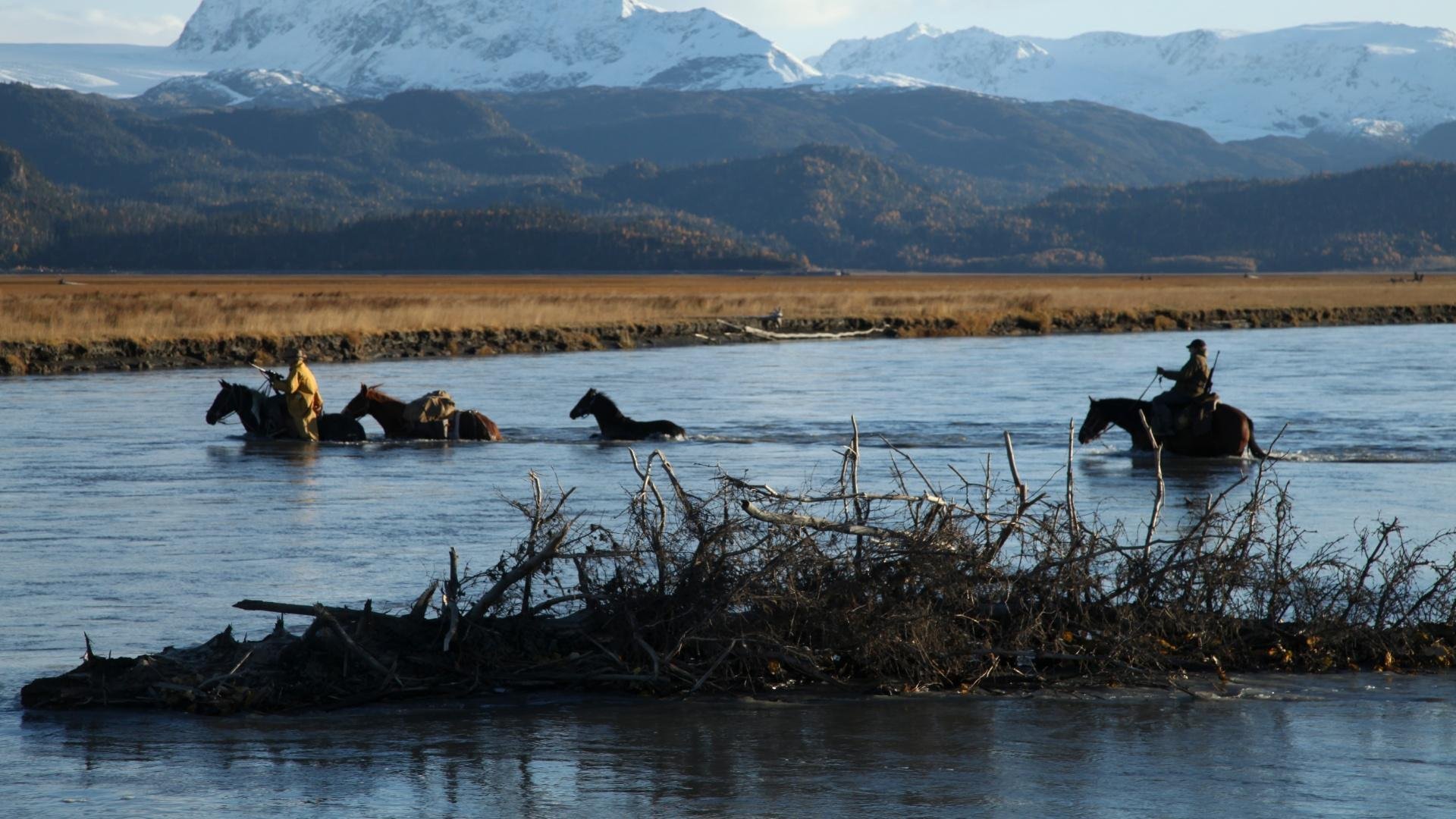 9. Til the Cows Come Home