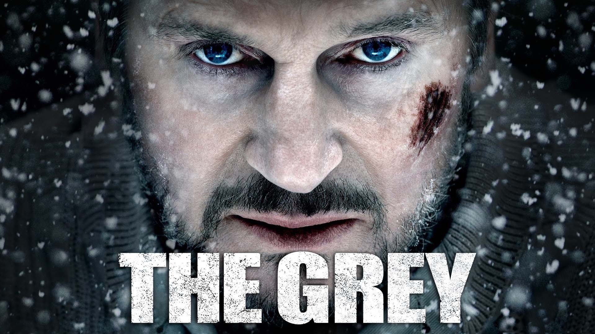 The Grey