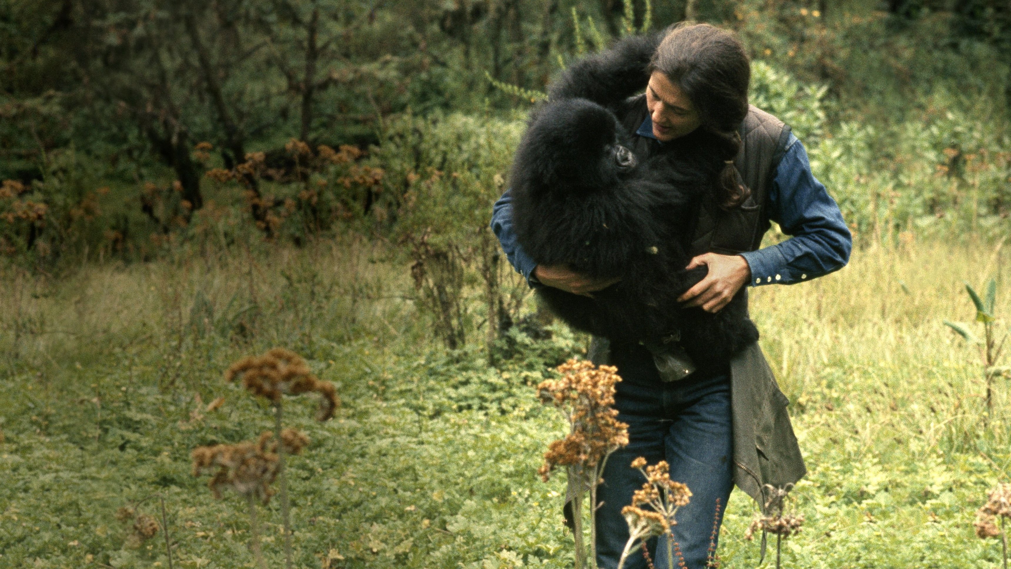 Dian Fossey: Secrets in the Mist