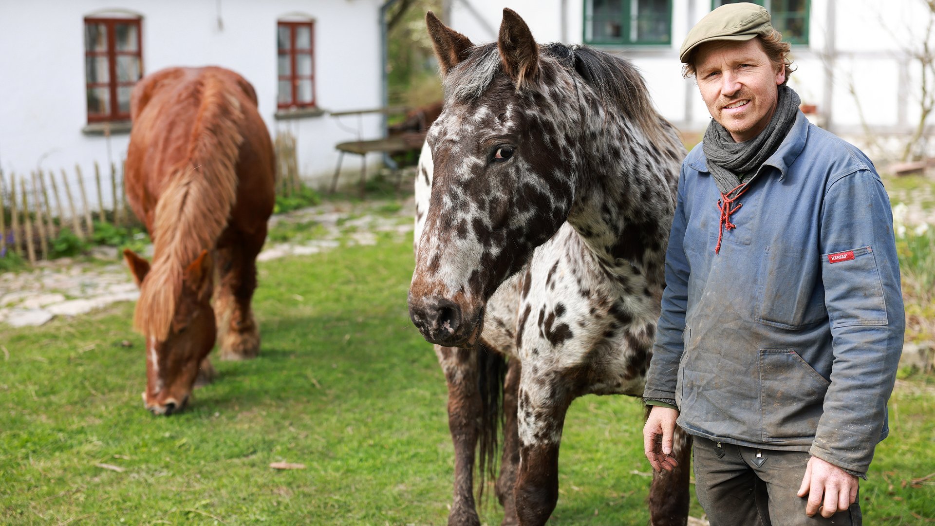 7. Vårtecken och reparationer