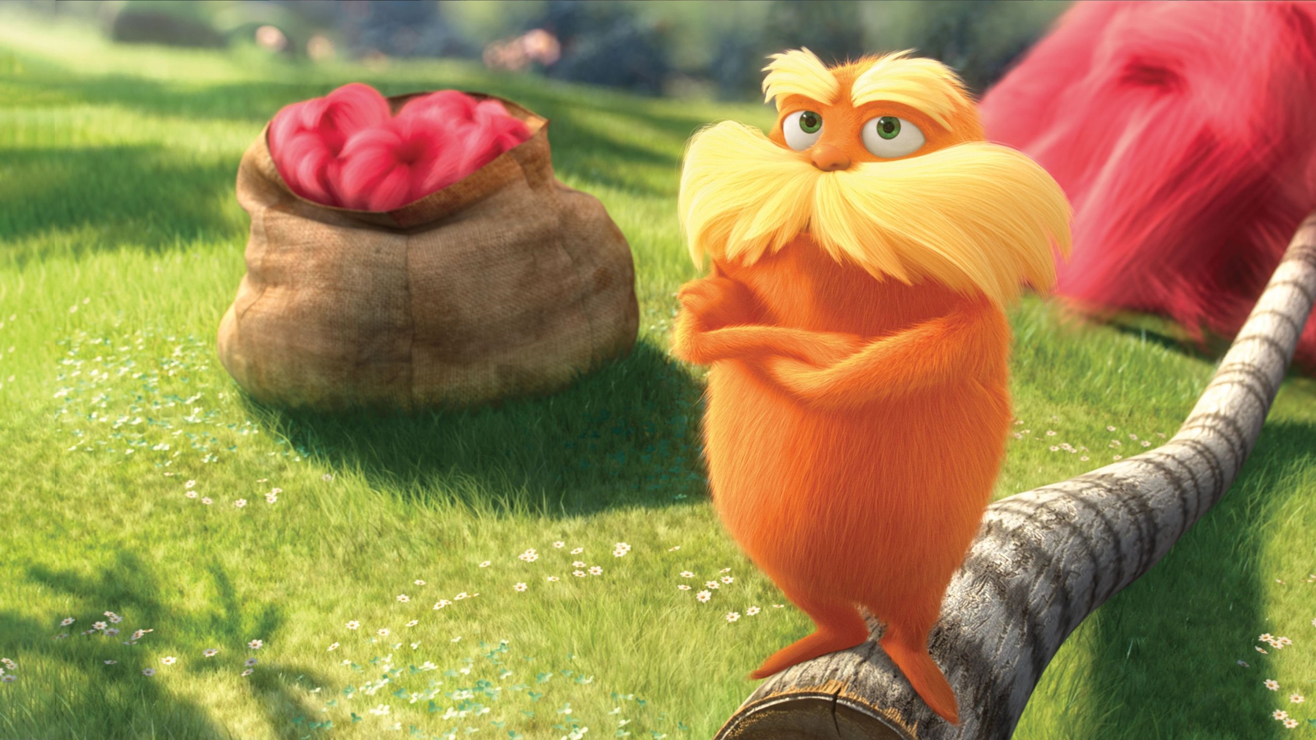 Lorax