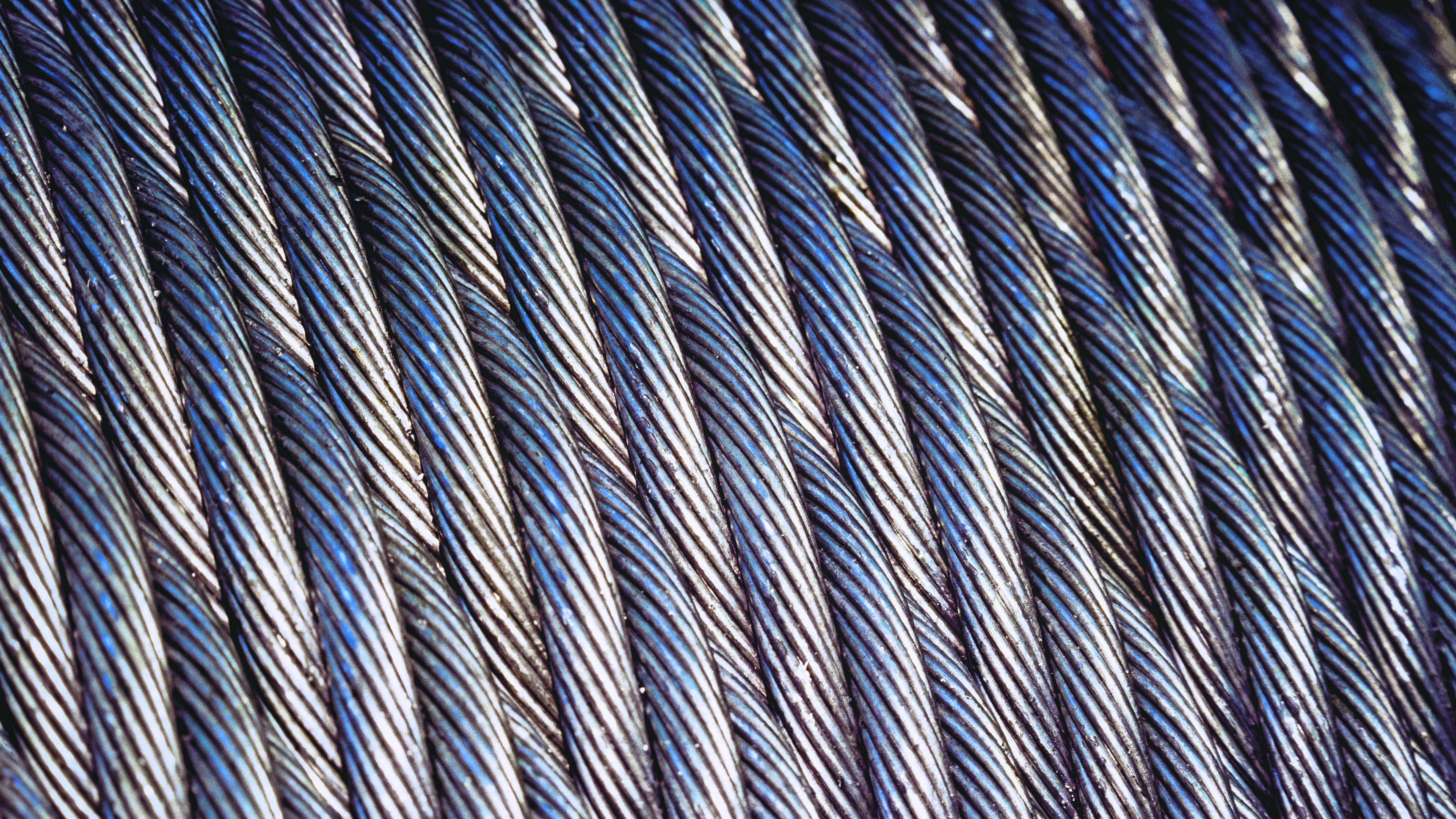 2. Industrial Wire Ropes/Living Walls/Large Format Cameras