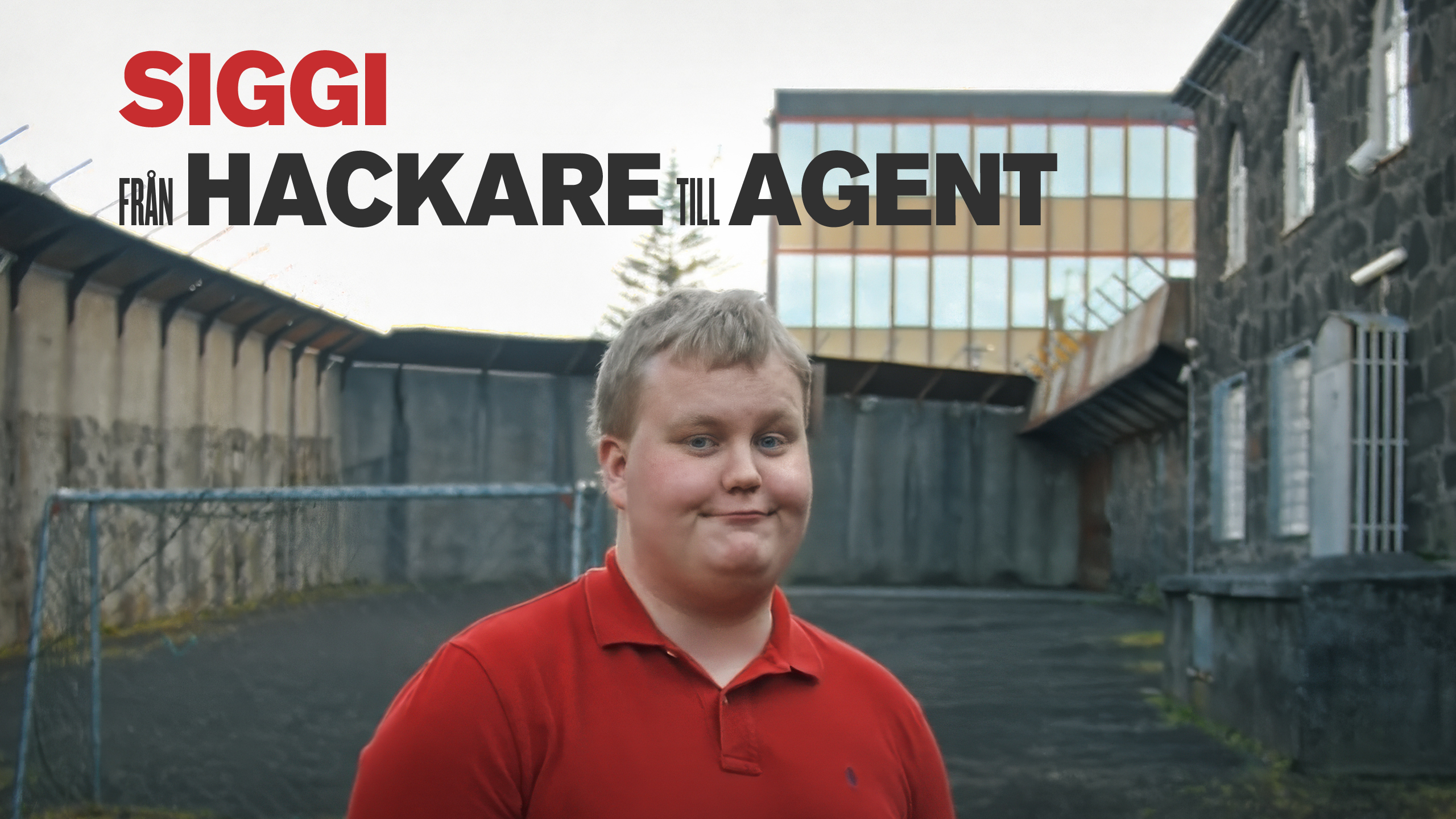 Siggi - från hackare till agent