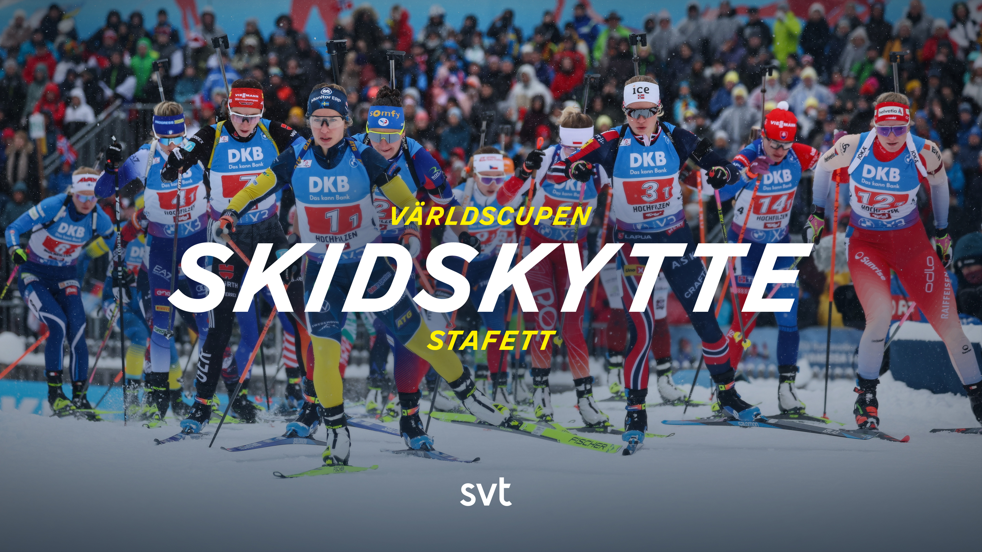 Skidskytte: Världscupen