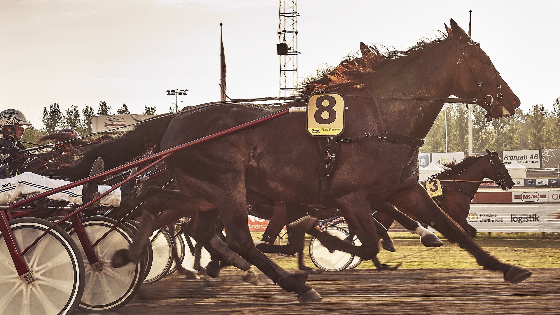 V86 Svepet | Trav, Sammandrag av V86.