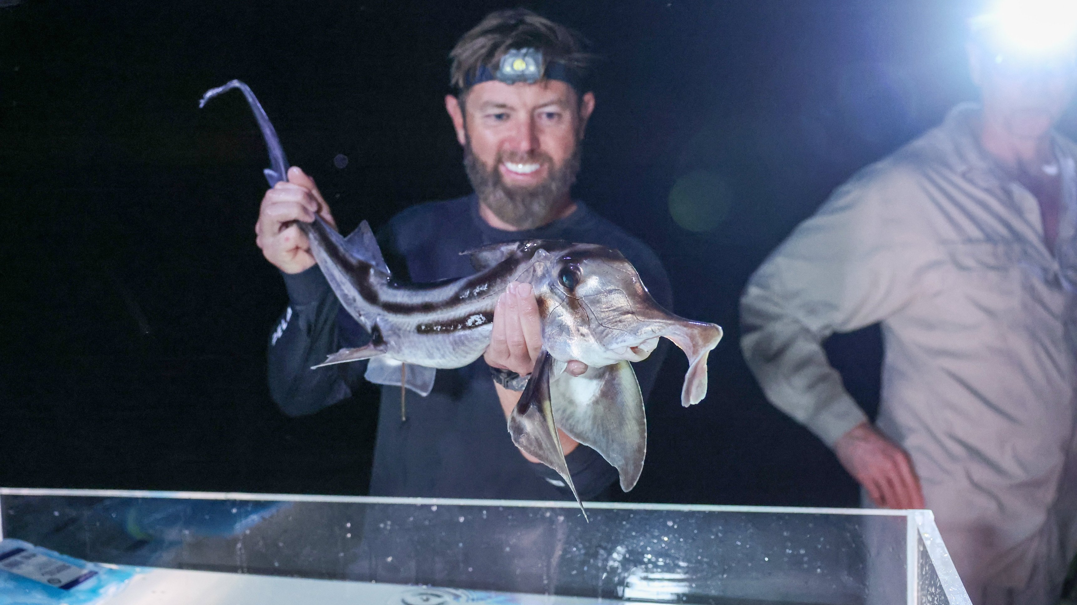 Alien Sharks: Death Down Under