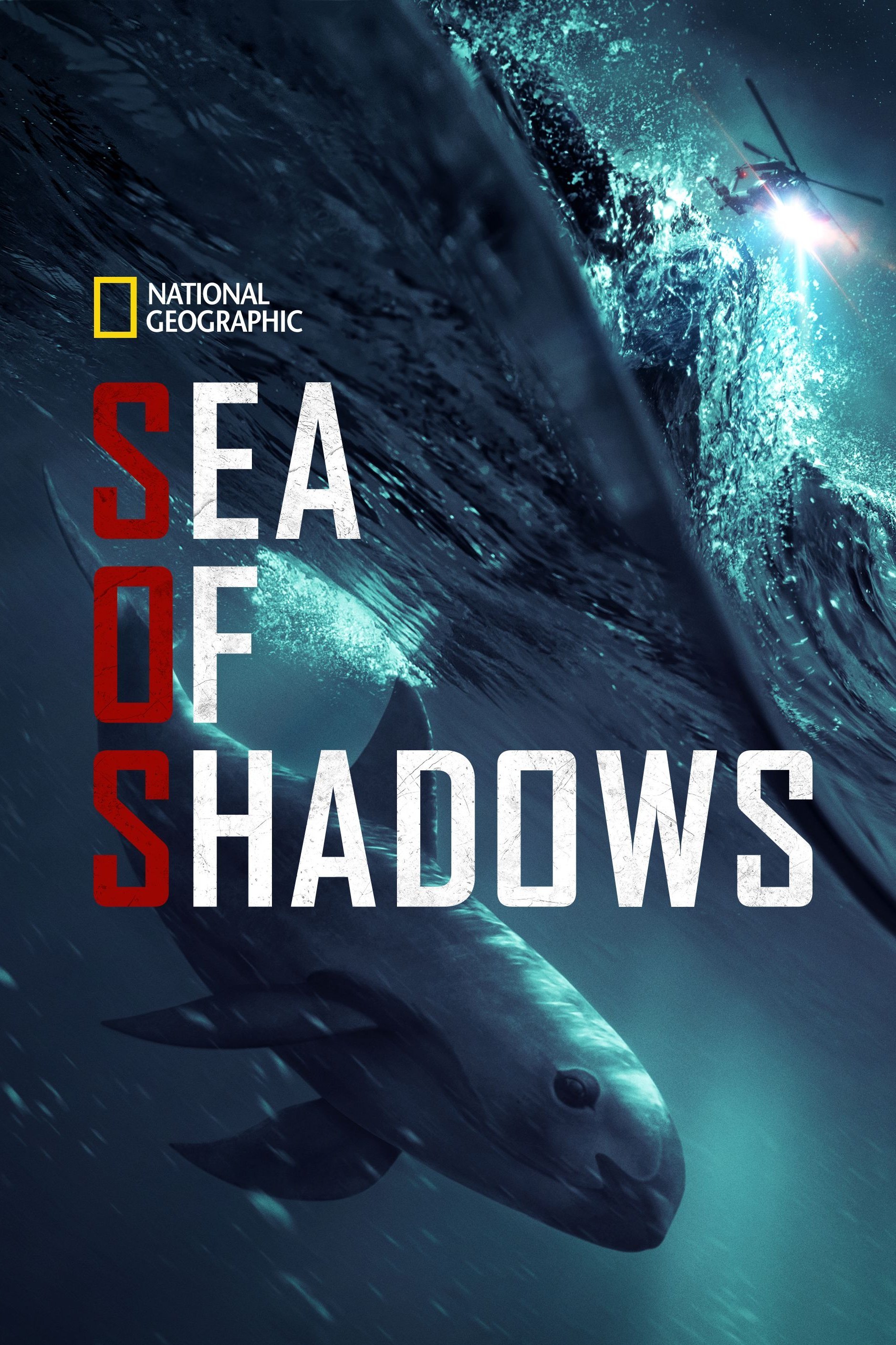 Sea of Shadows