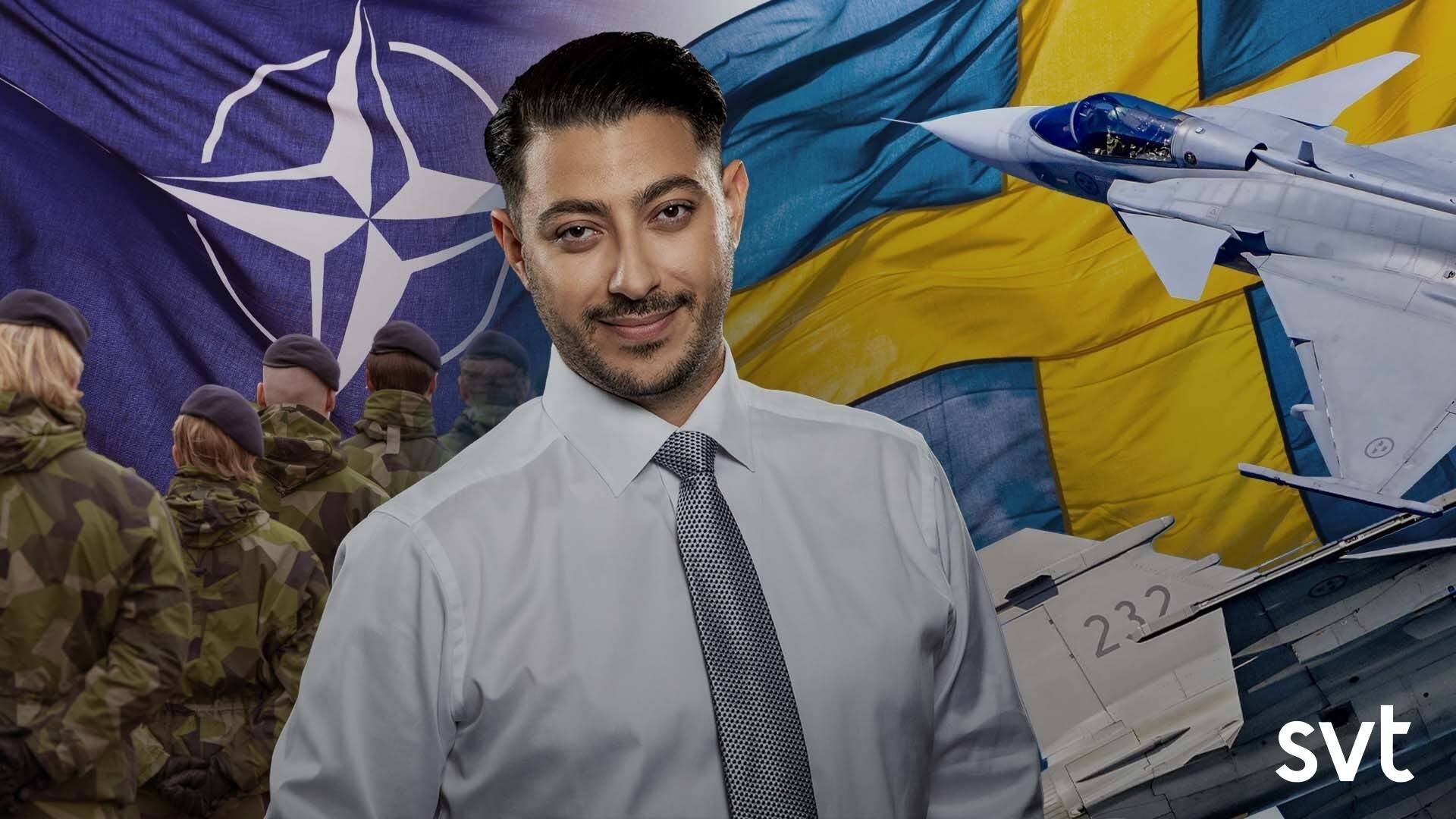 Publikens frågor om Nato och säkerhetsläget