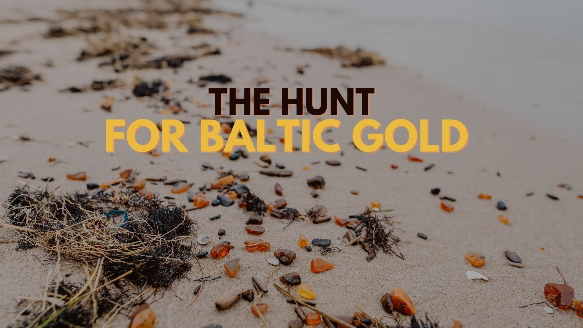 The Hunt for Baltic Gold