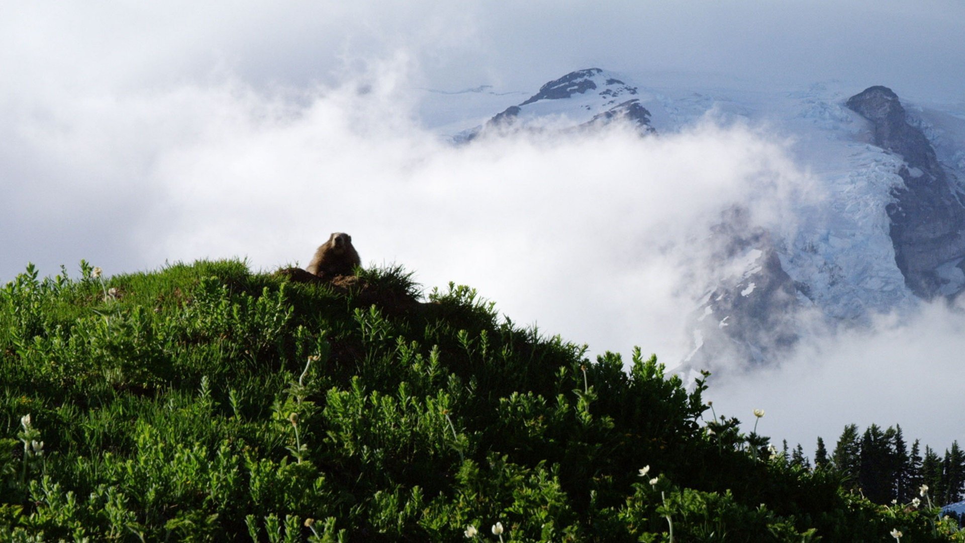1. USA:s mäktiga berg