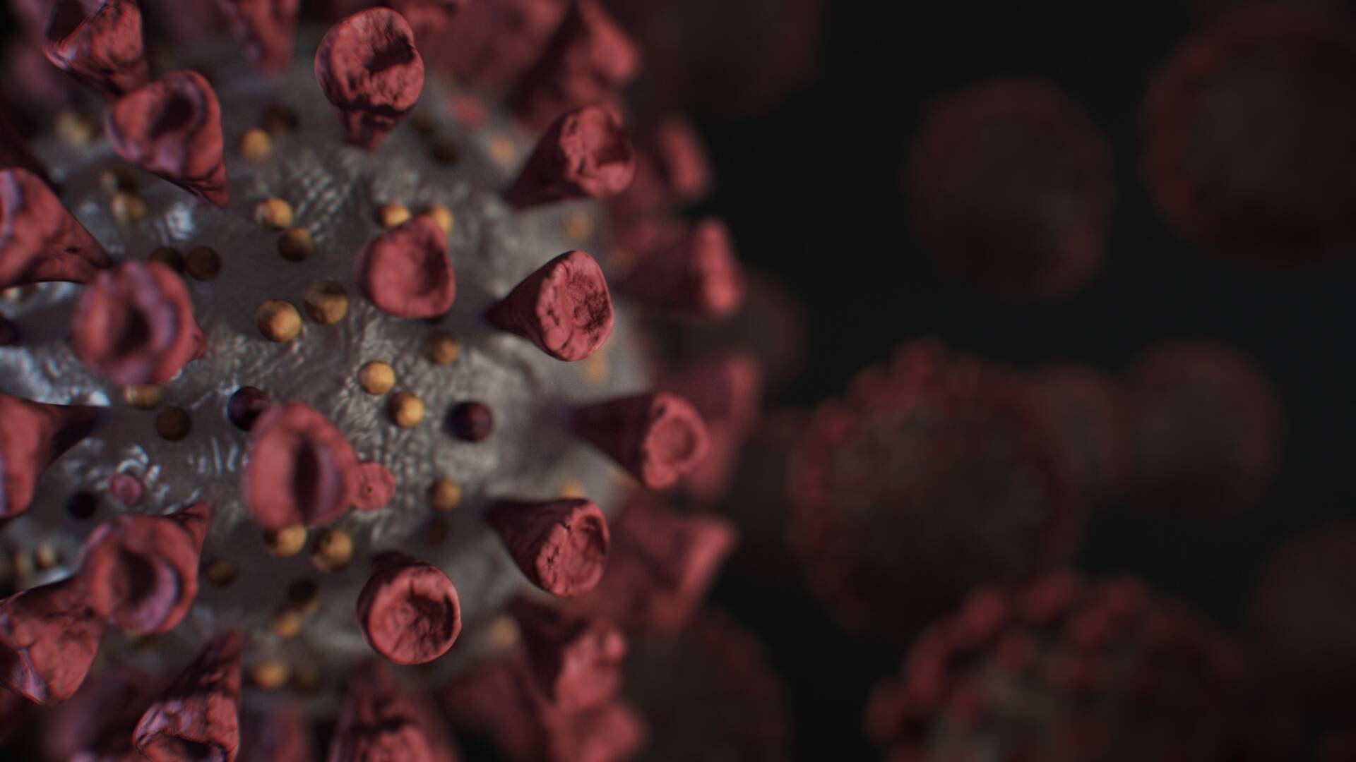 Vetenskapens värld: Kampen mot corona