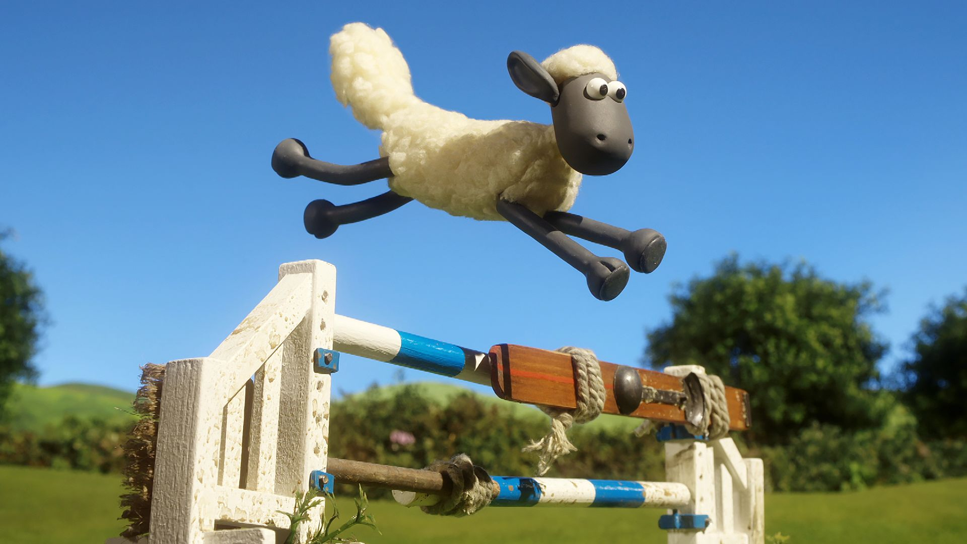 10. Steeplechase