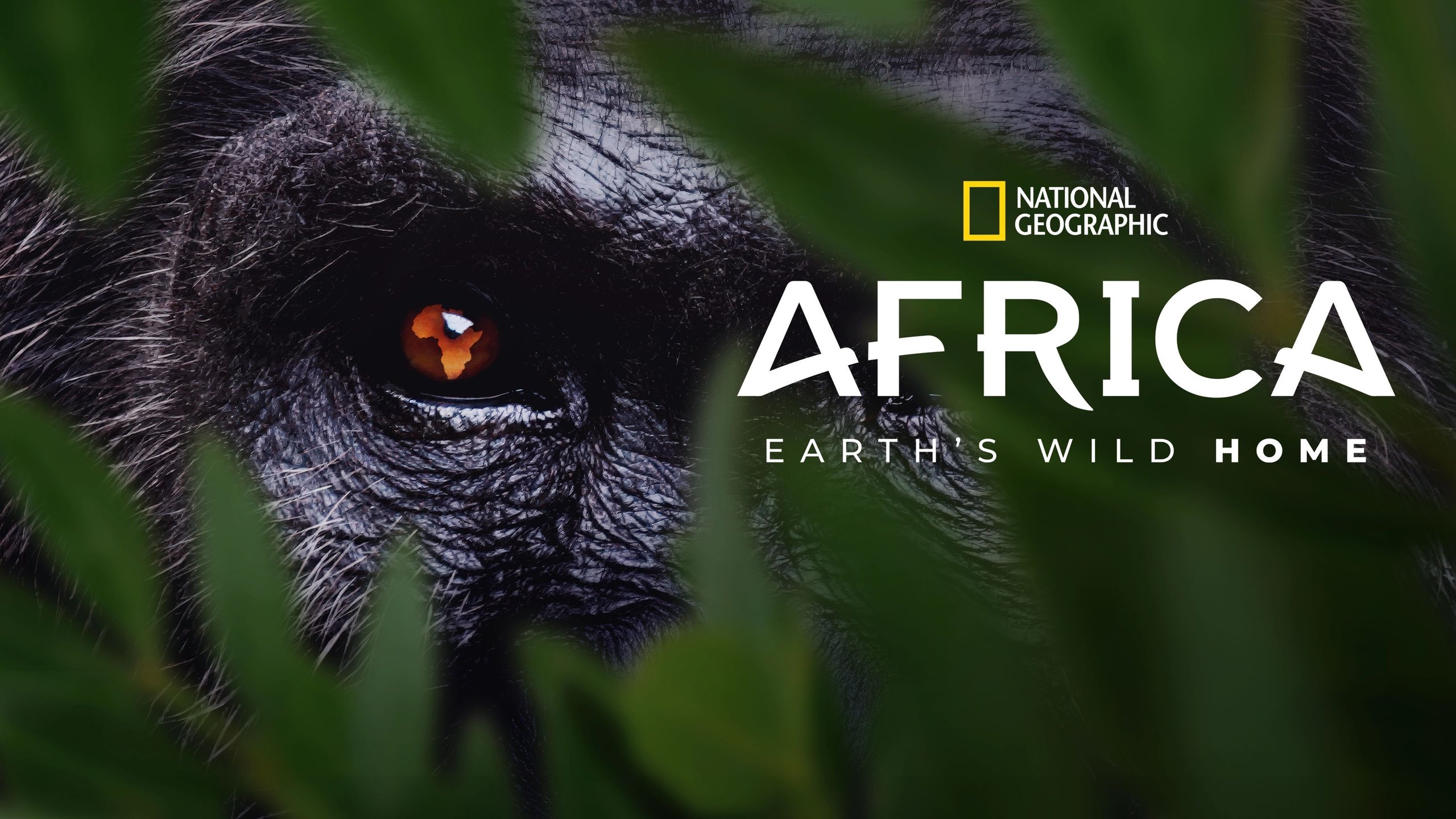Africa Earth's Wild Home