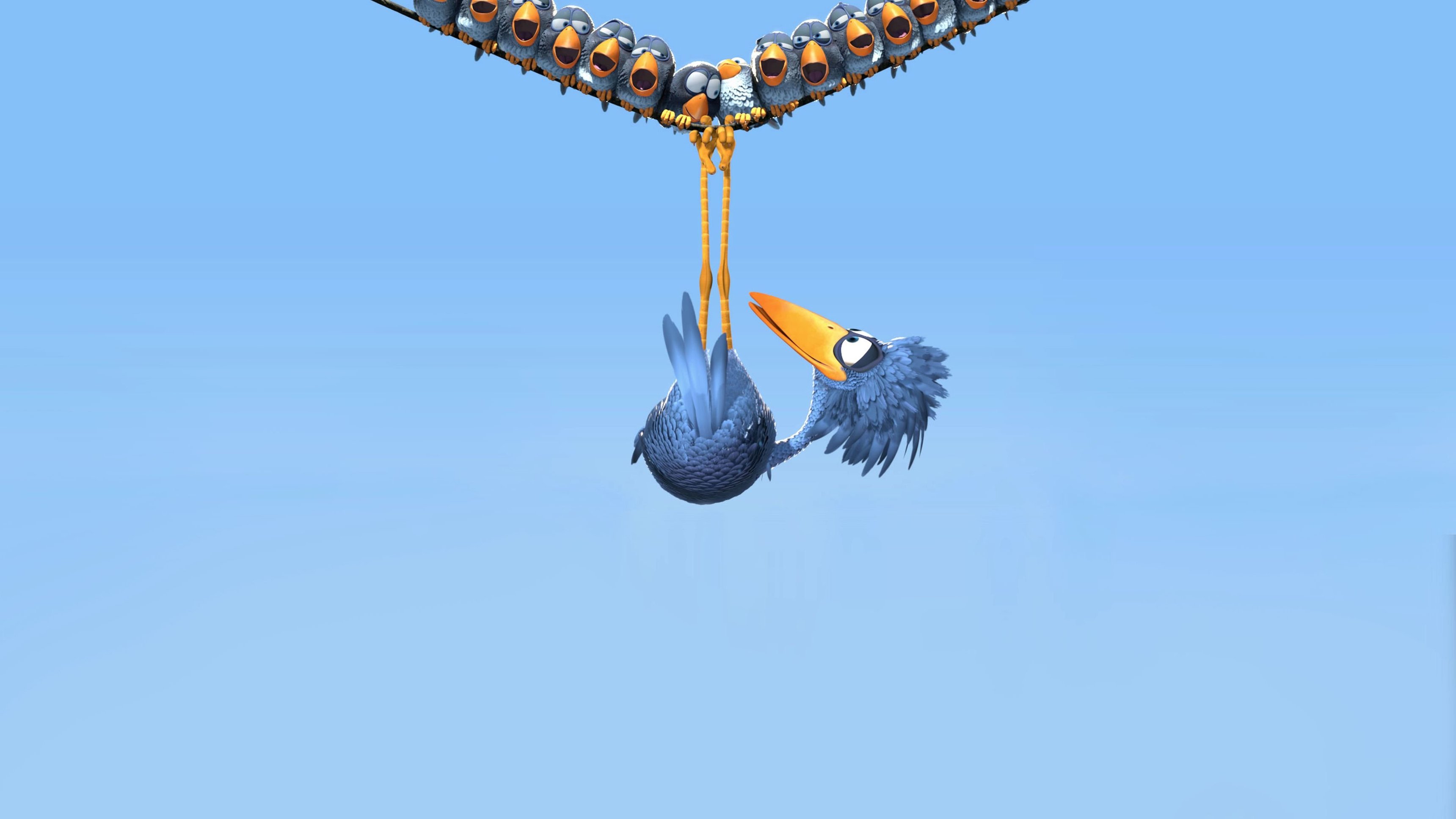 For the Birds