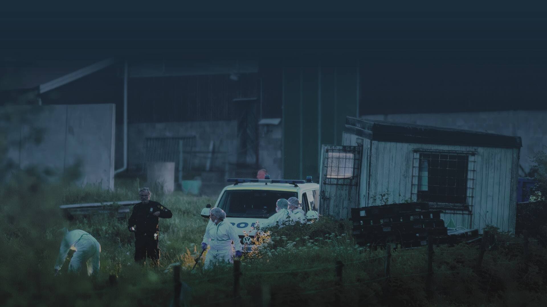 Lisa Holm - dygnen som skakade Sverige