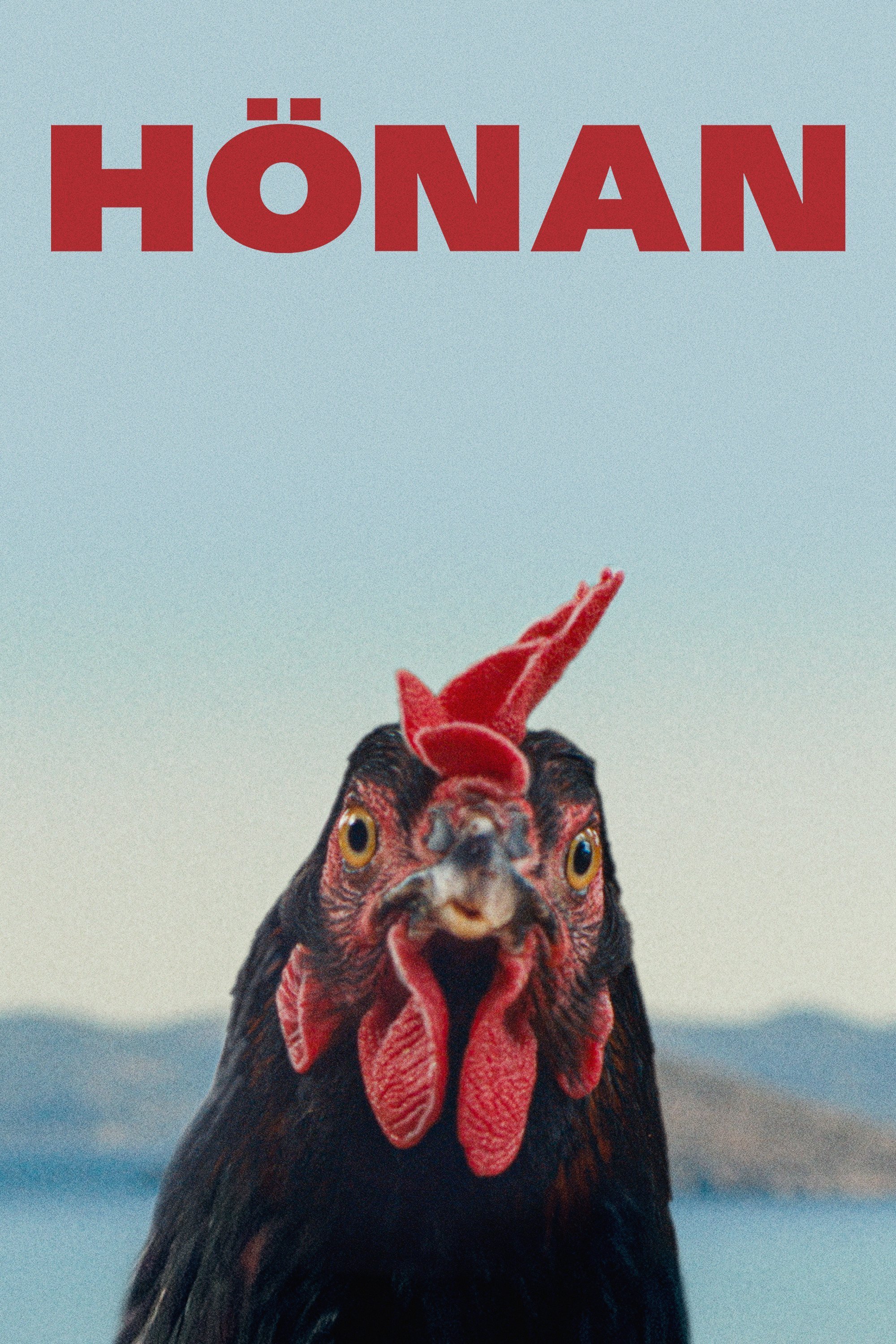 Hönan