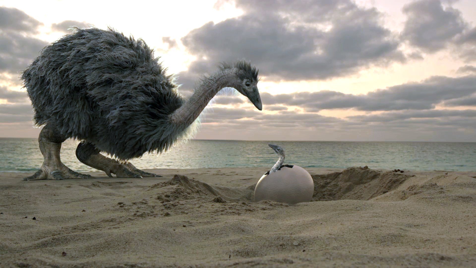 Förhistoriska jättefåglar