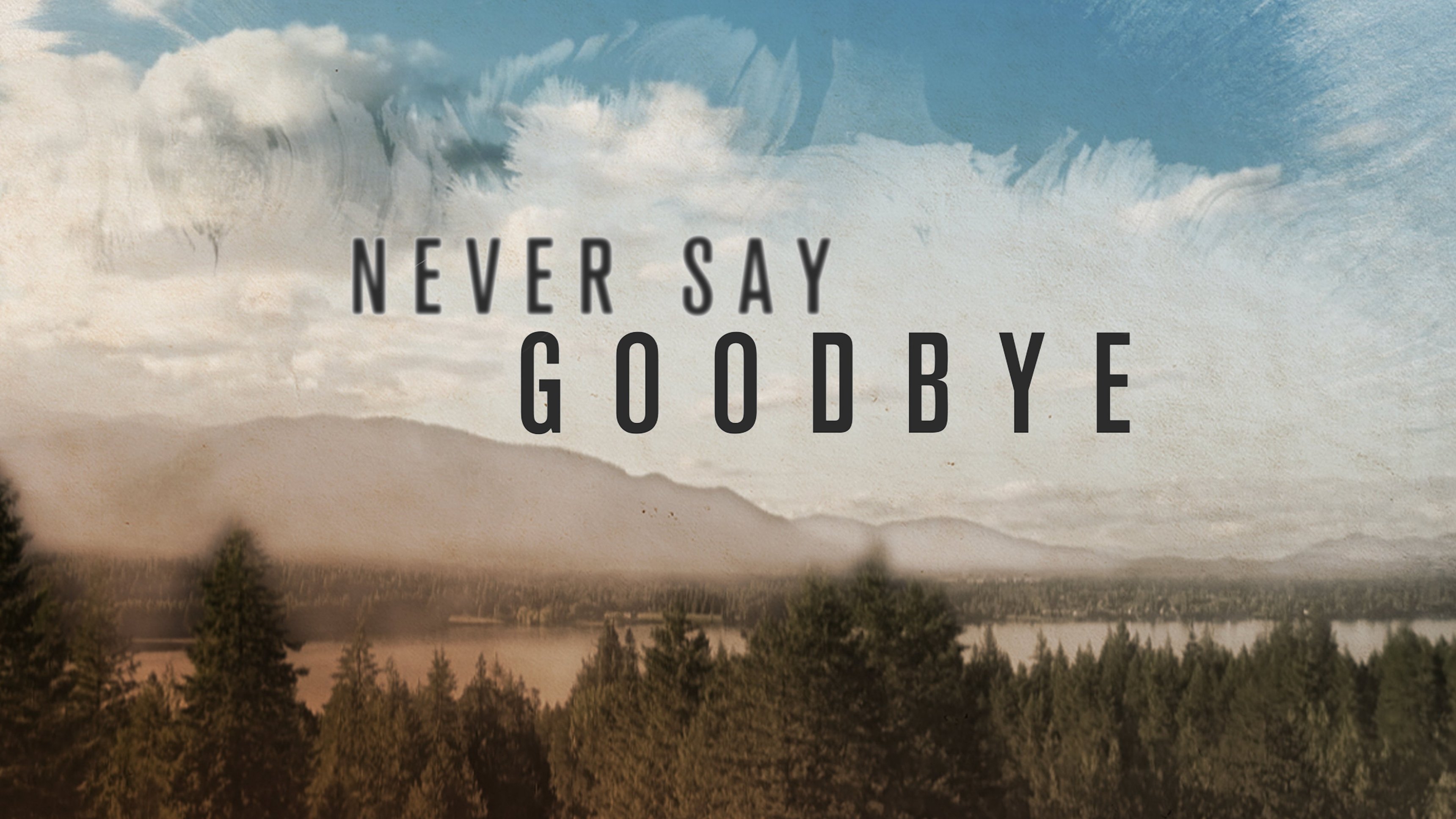 Never Say Goodbye