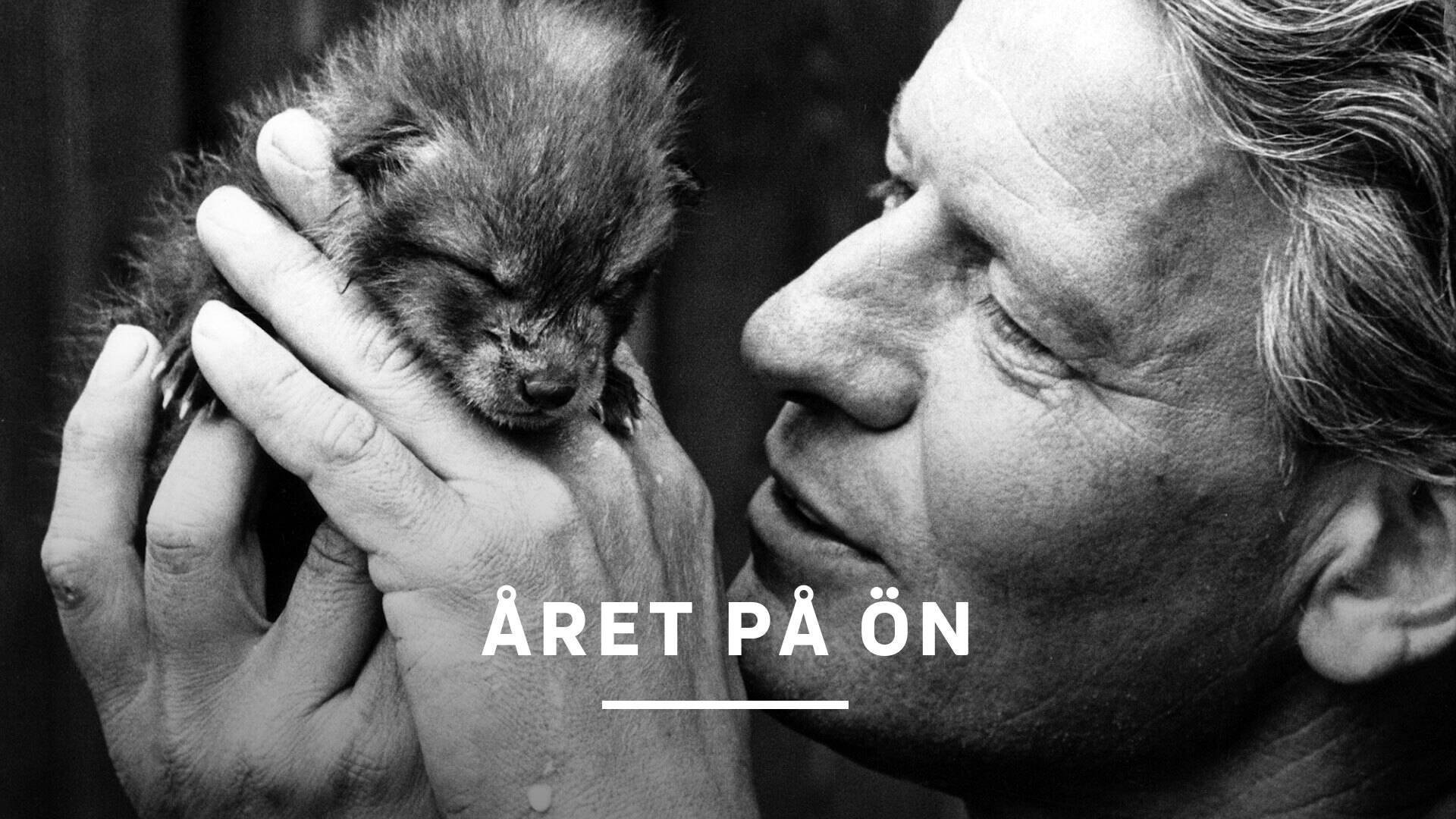 Året på ön
