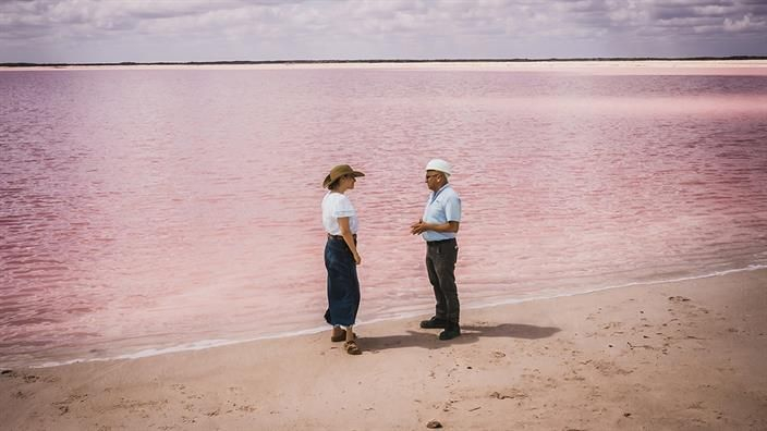 9. Rosa underverk: Salt och flamingos