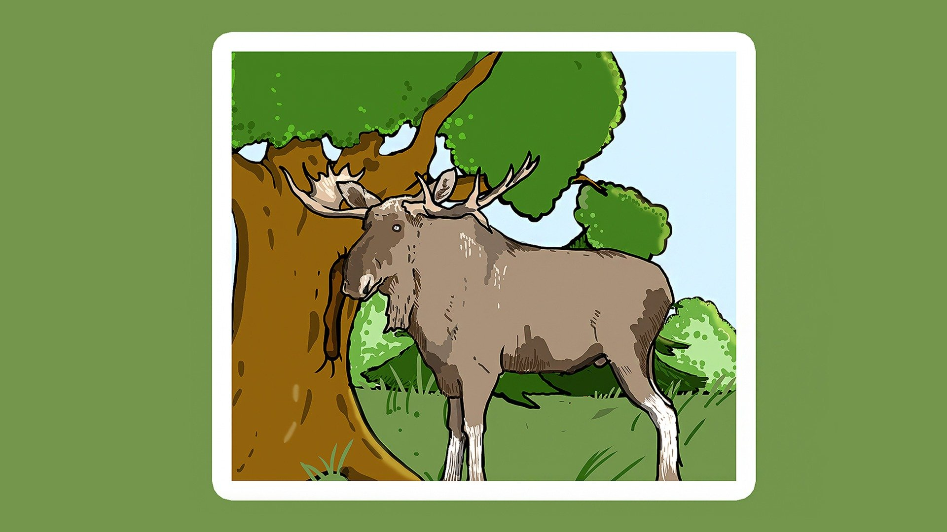 Miniteve: I naturen
