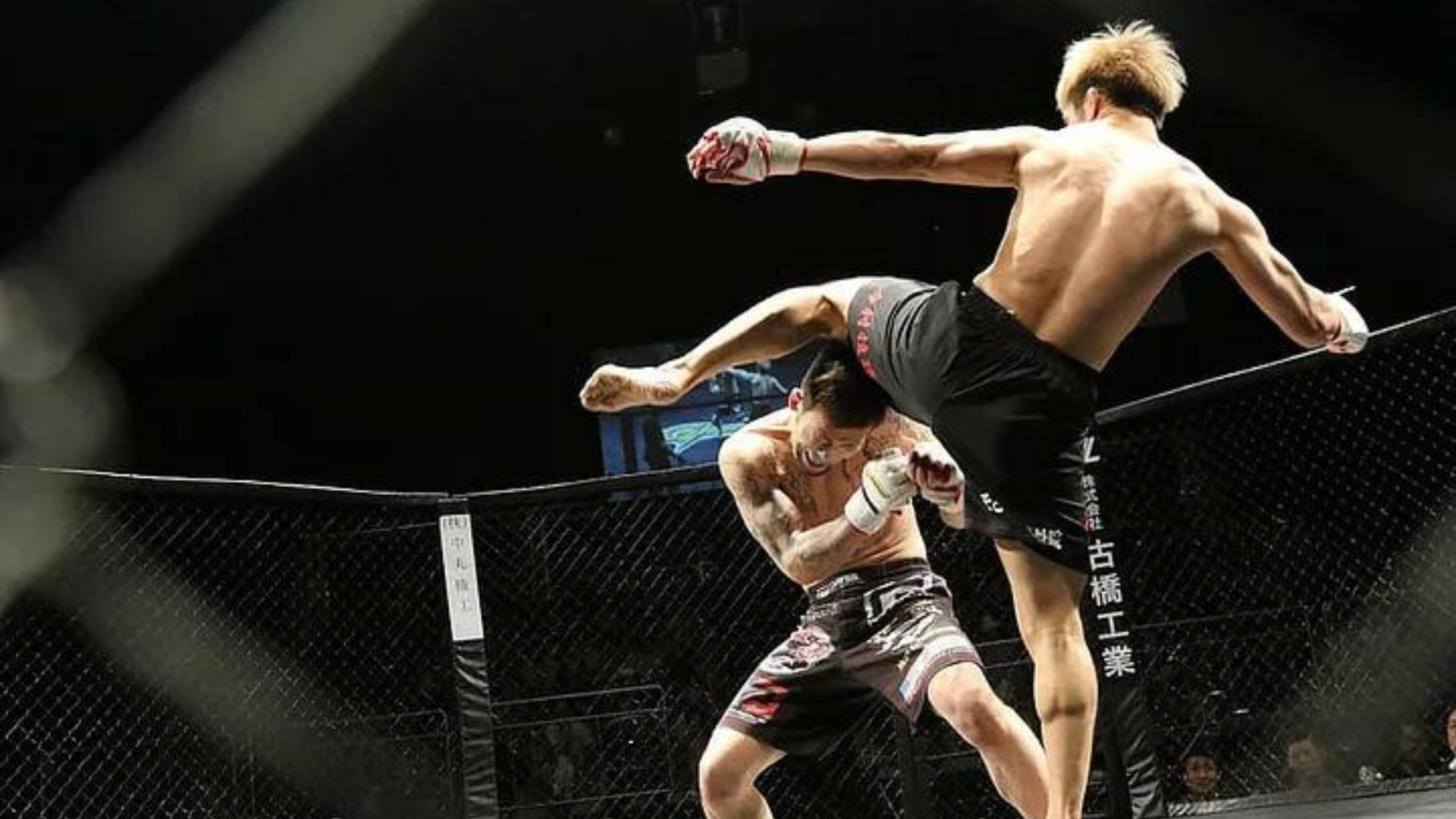 UFC