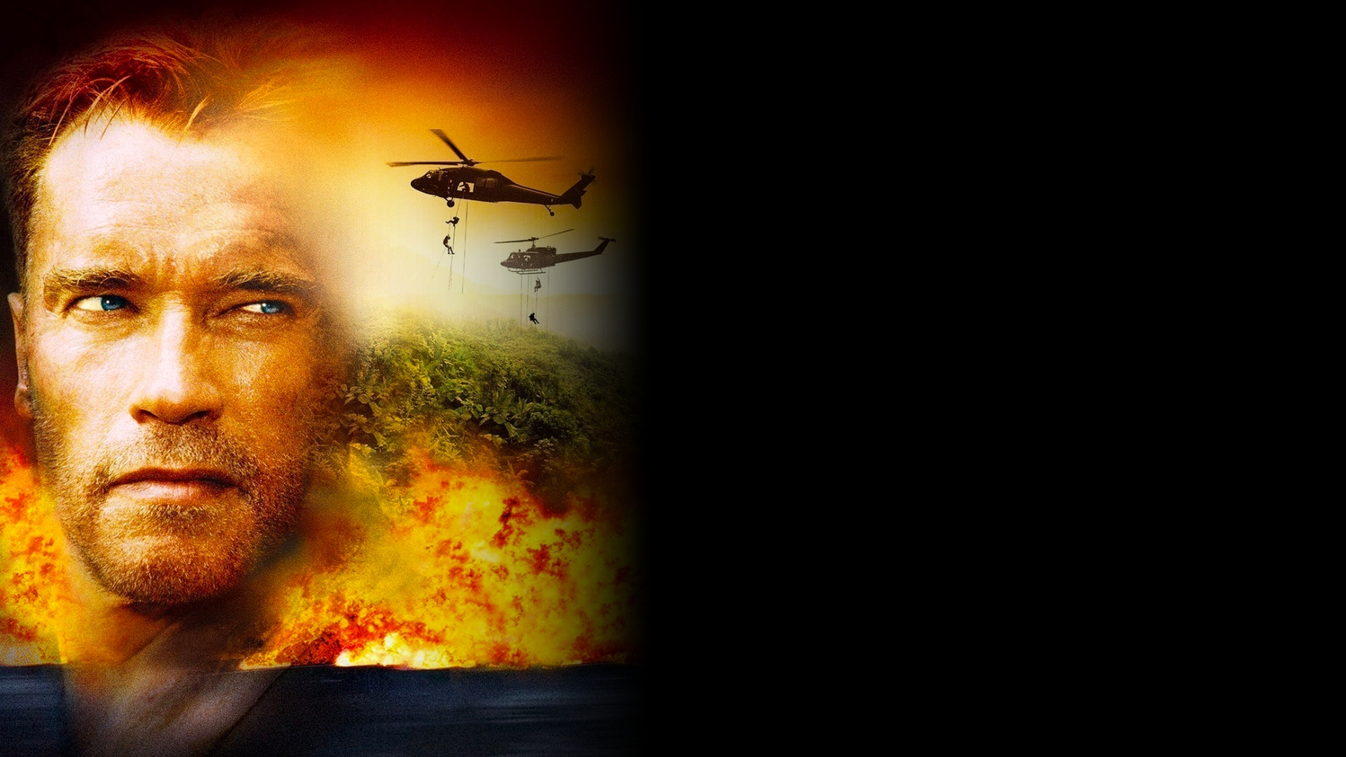 Collateral Damage