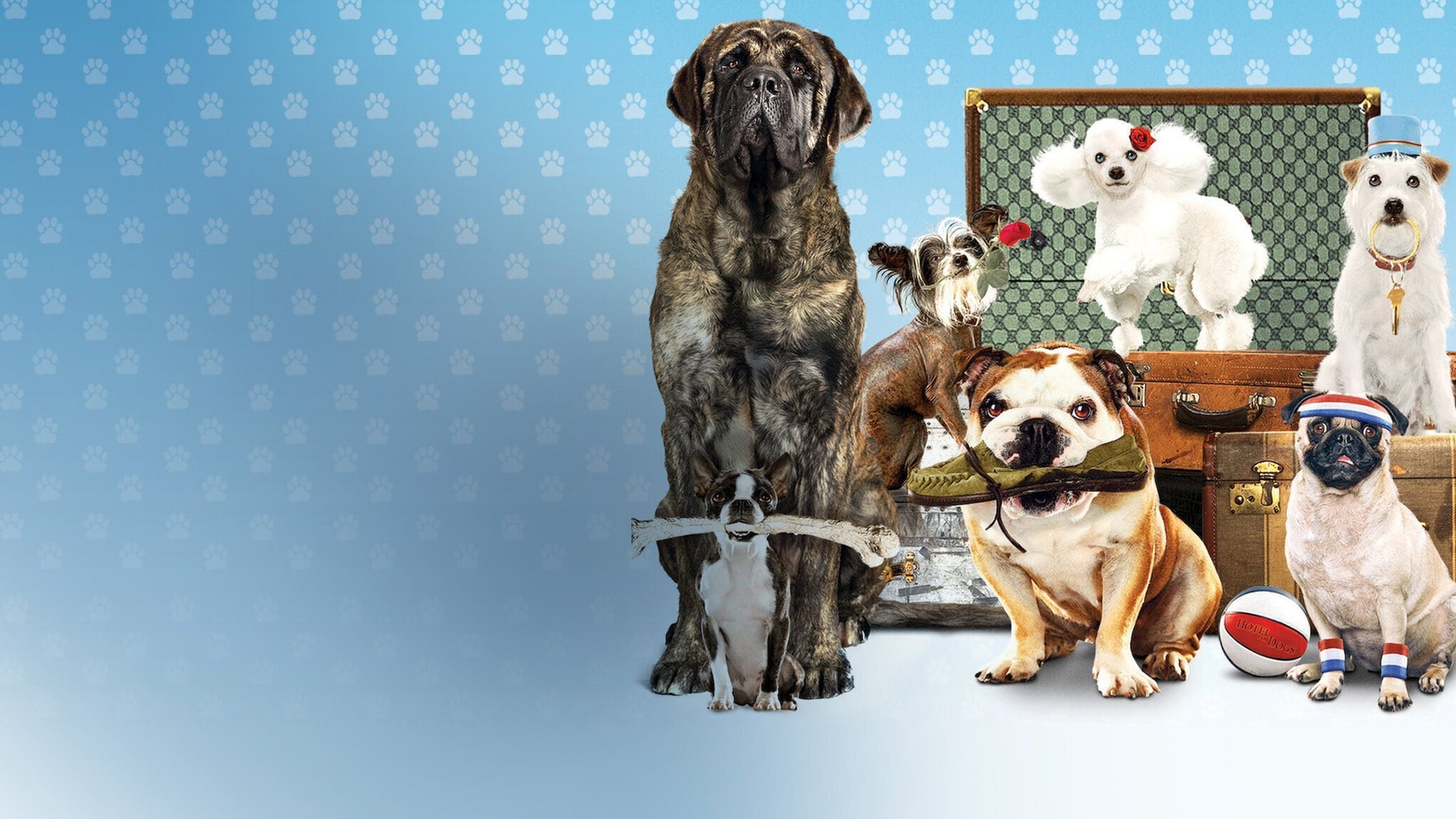 Hundpensionatet